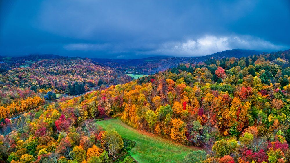 Aerial shot of fall foliage somewhere near Jeffersonville, New York, USA