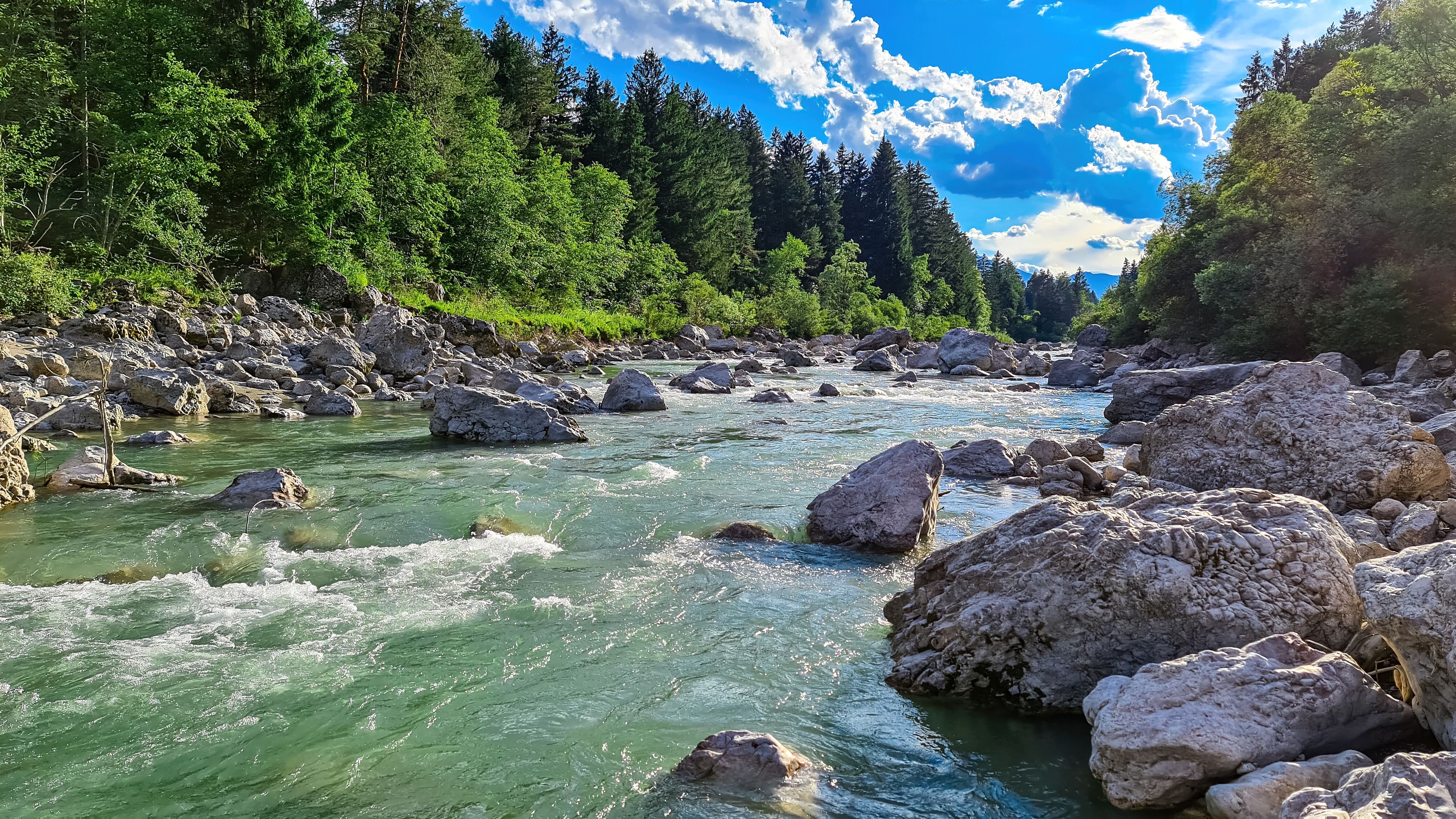 River Gail flowing through the Schuett in the natural park Dobratsch in Villach, Carinthia, Austria