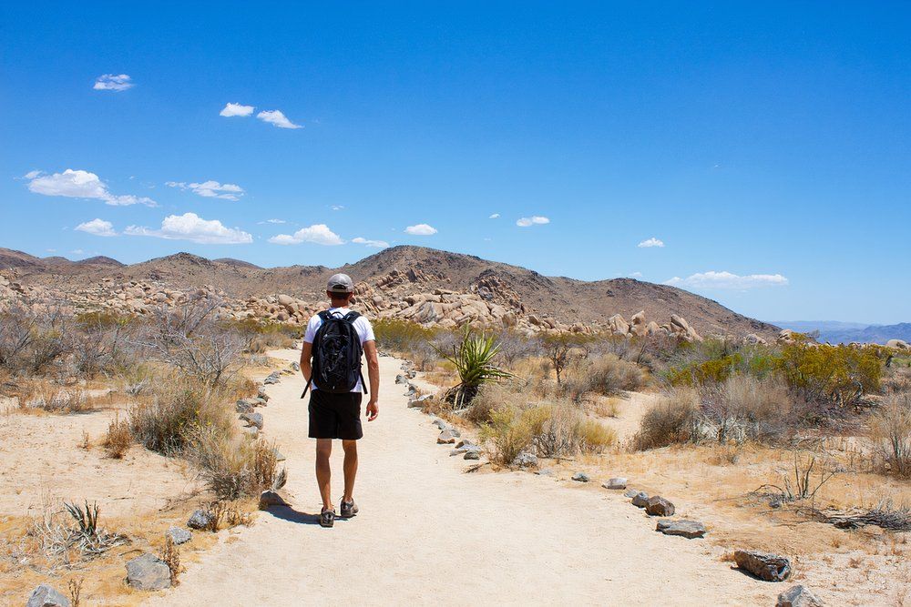 Man hiking with backpack in the desert toward rock mountains on Arch Rock Trail in Joshua Tree National Park, California, USA