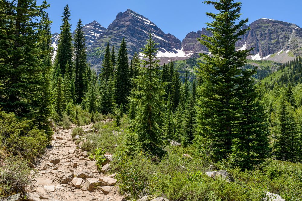 Crater Lake Trail – A rugged hiking trail that winds through a pine forest at the base of the Maroon Bells, Aspen, Colorado, USA.