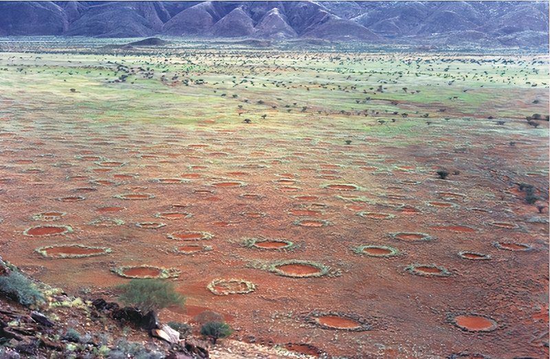 Fairy circles, Namibia