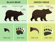 Think Twice About Visiting This National Park This Summer Think Twice About Visiting This National Park This Summer