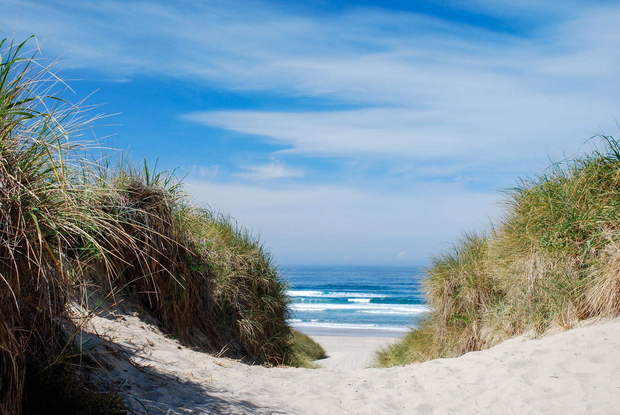 Nehalem Bay State Park, Oregon