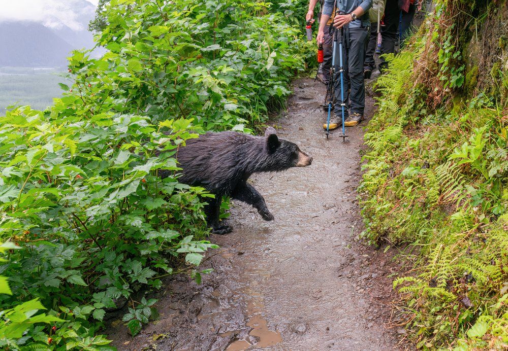 Kenai Fjords National Park, Alaska