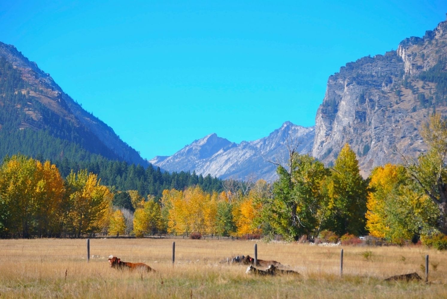 Bitterroot Mountains Blodgett Canyon, Montana in autumn