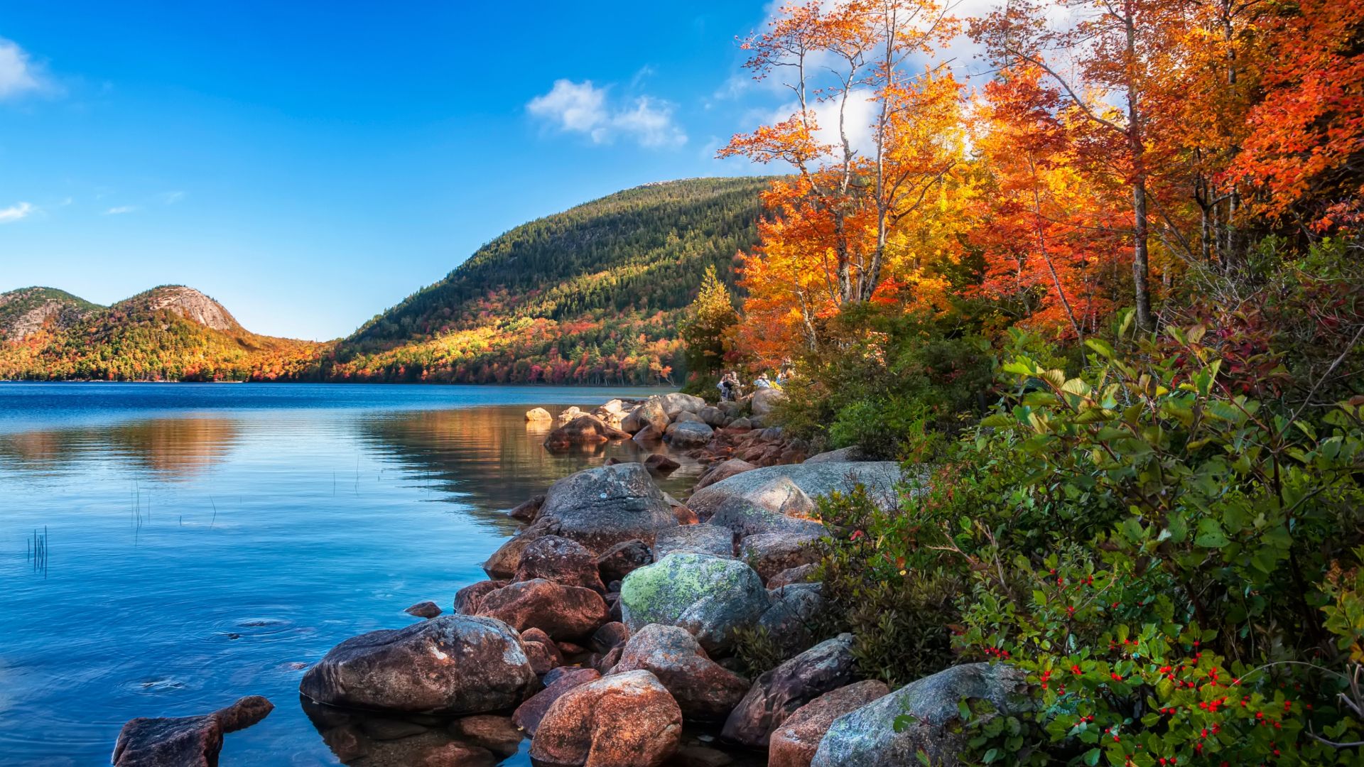 How many days you really need for acadia national park
