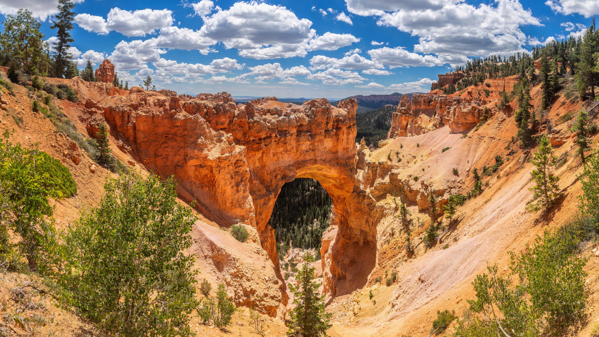 5. 「天然」だからといって必ずしも安全であるとは限りません