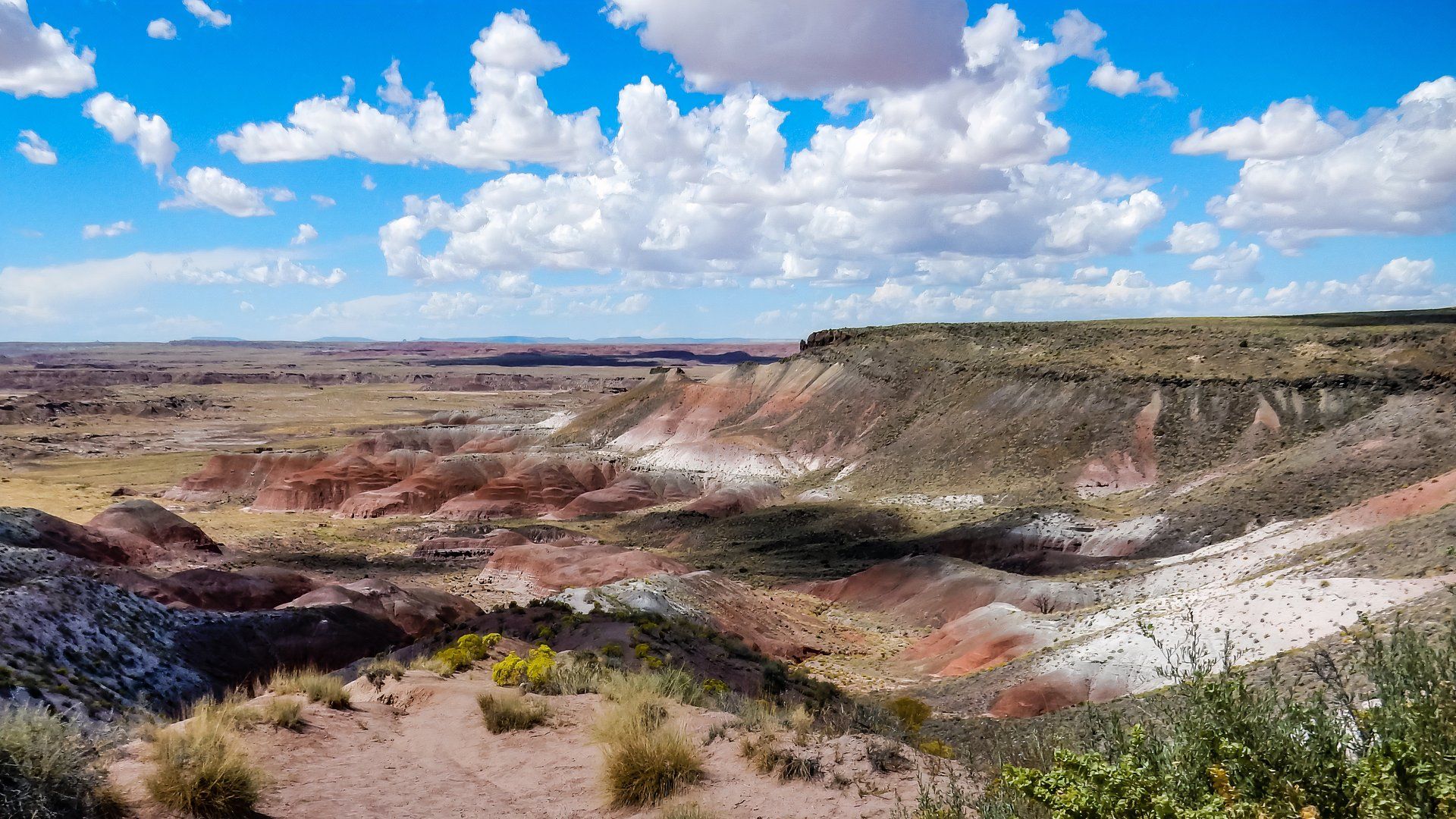 Petrified Forest National Park Arizona