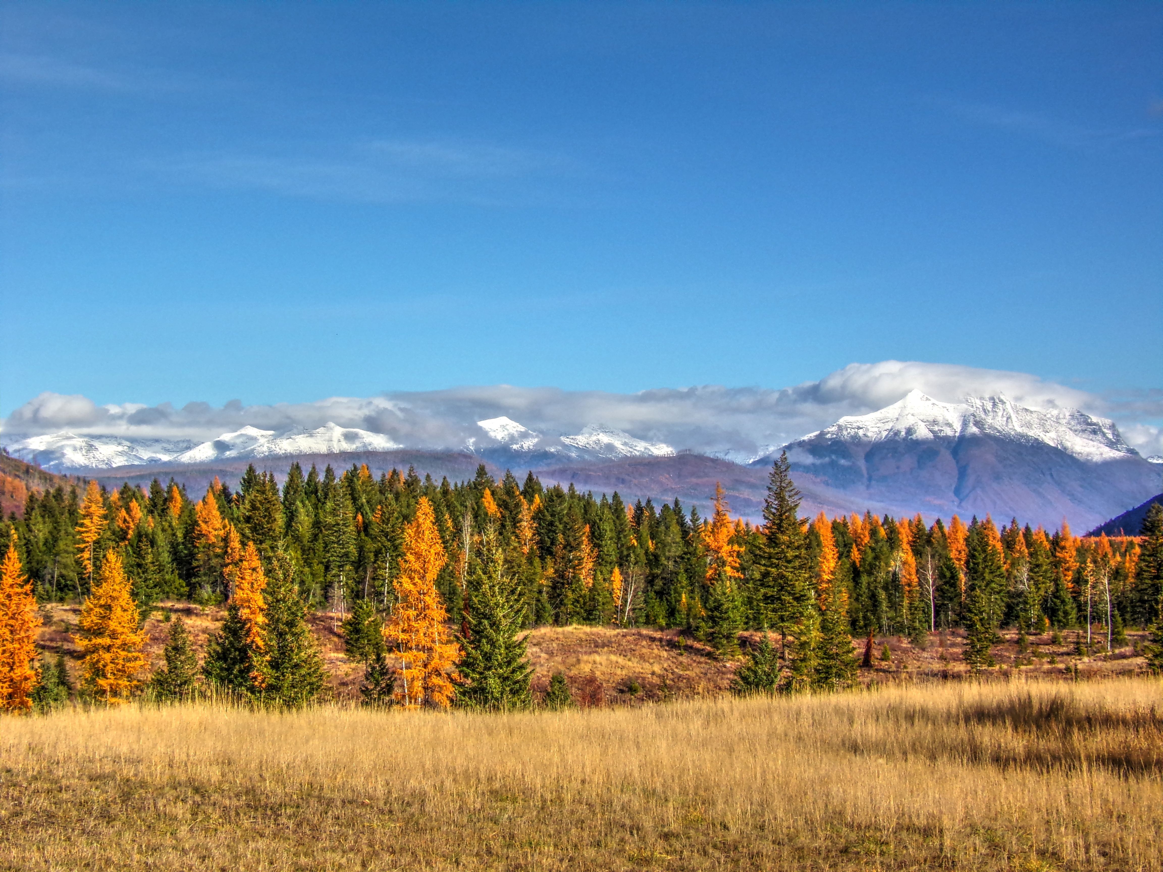 Think Twice About Visiting This National Park This Fall