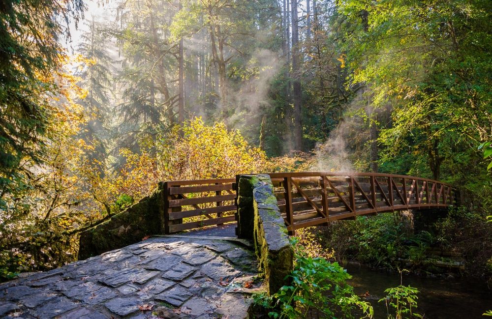 fall colors at silver falls state park in oregon