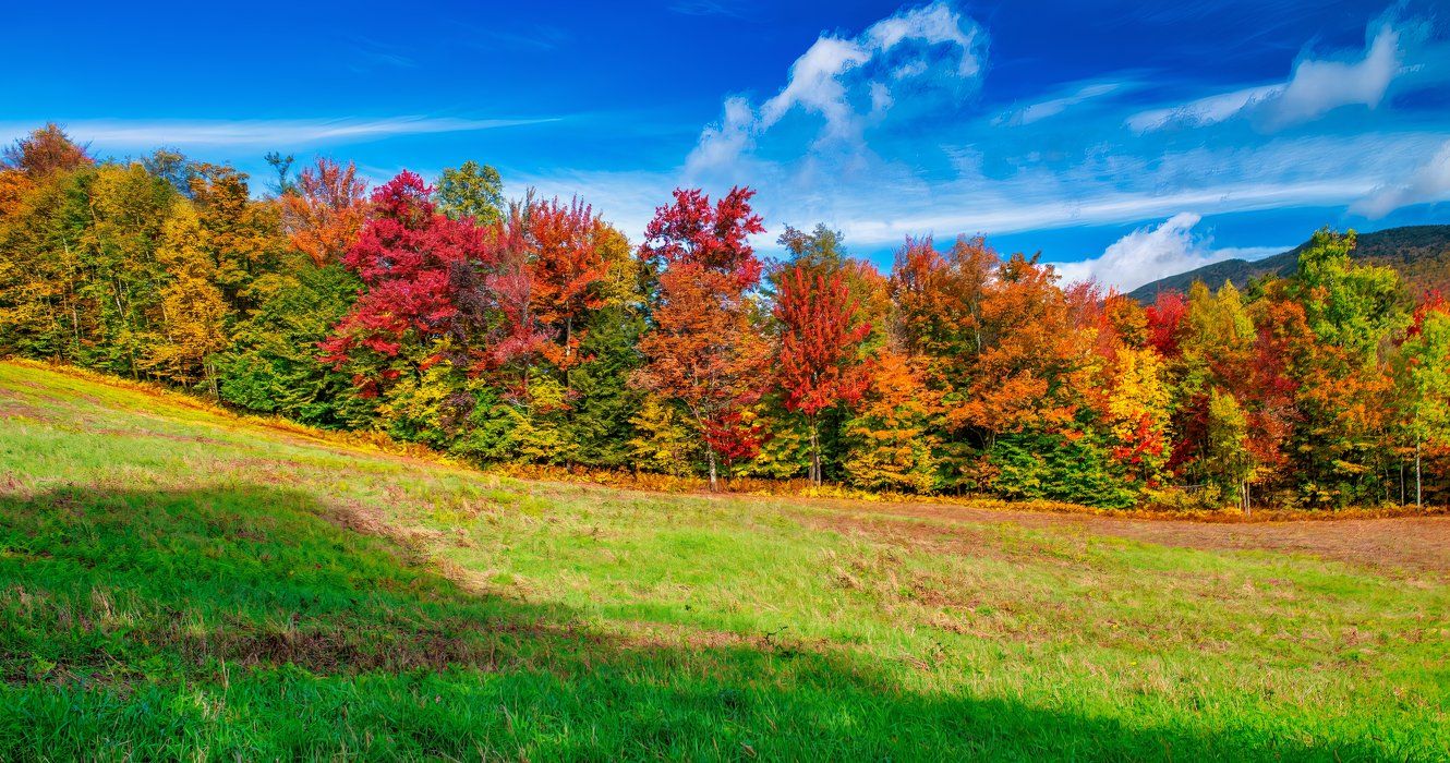 New England 2024 meadow in Autumn