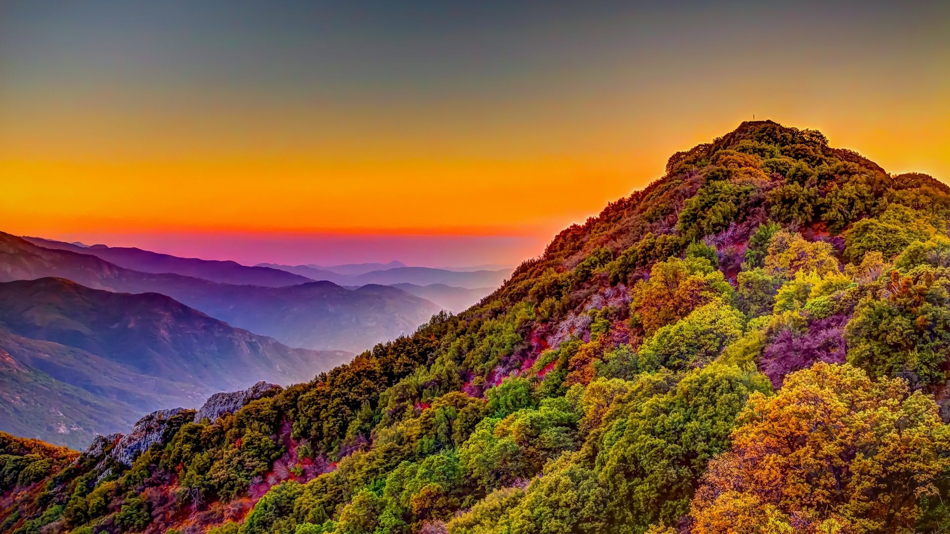 The sunset views while falling in the Sequoia National Park, California