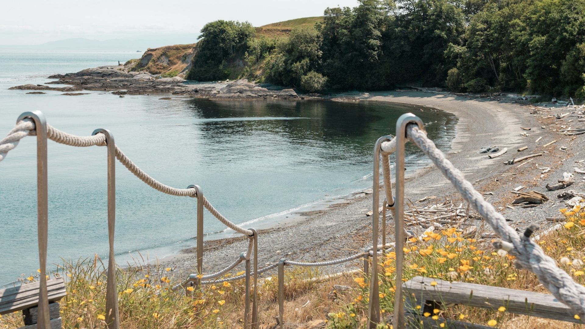 Why (And How) You Should Visit The San Juan Islands