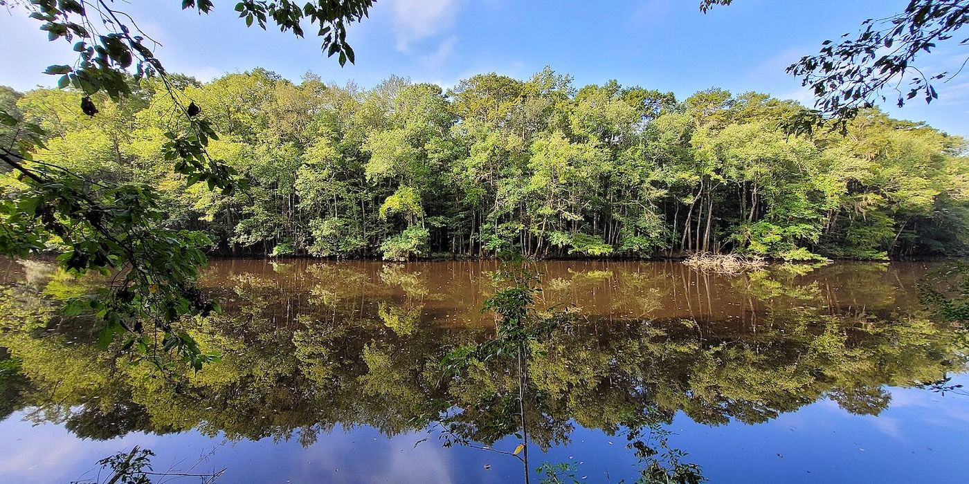 Congaree National Park
