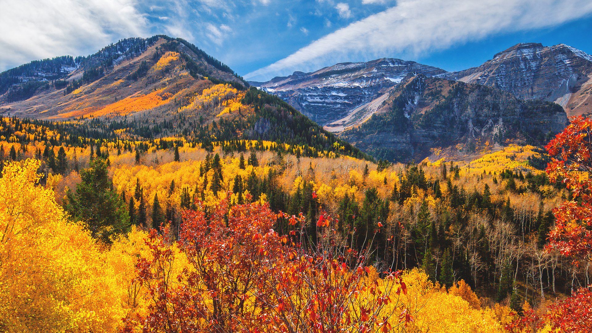 Is America's Most Scenic Fall Foliage In This Surprising State?