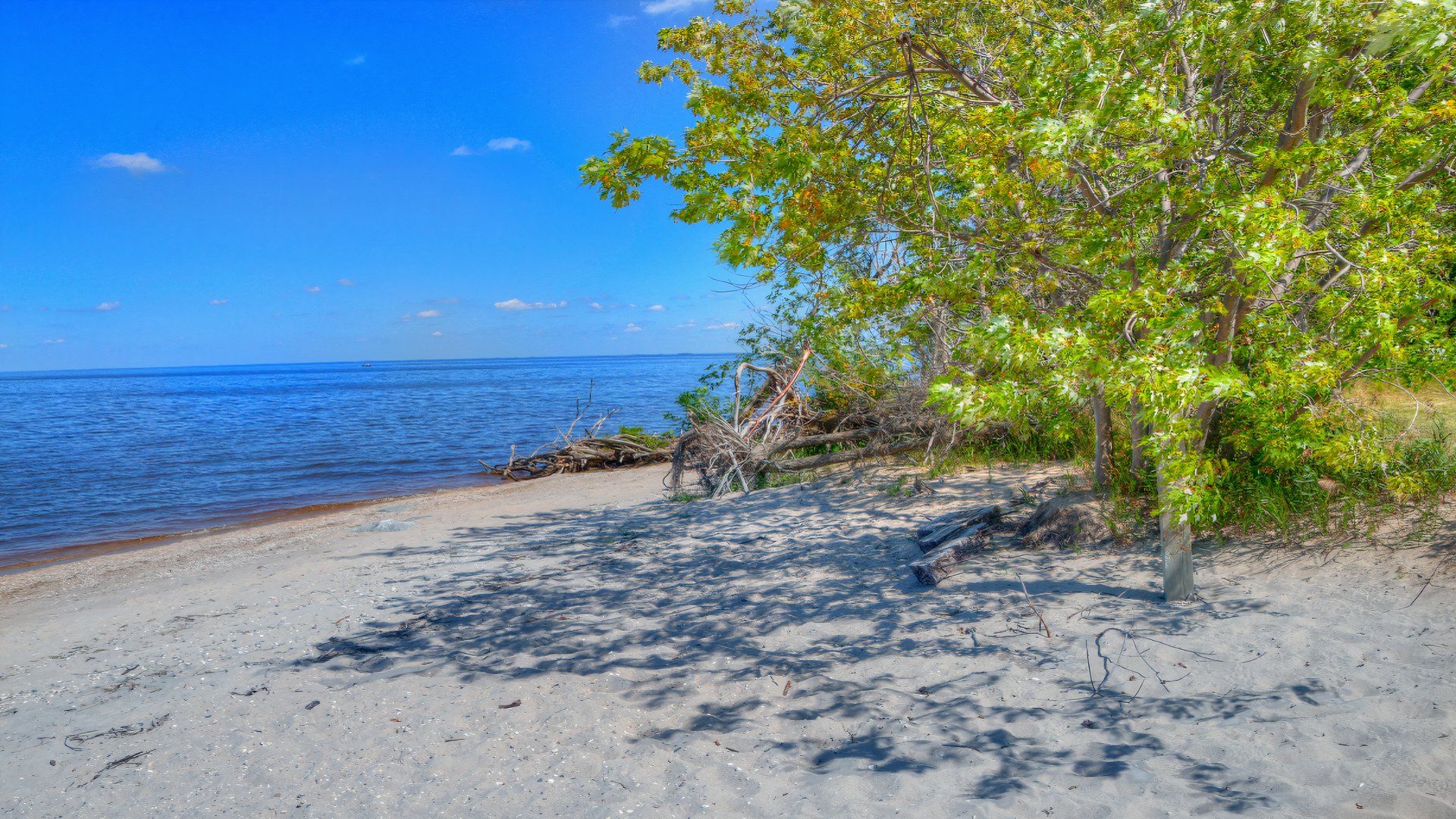 Zippel Beach at Zippel Bay State Park in north Minnesota on the Canadian Border and Lake of the Woods, MN, USA