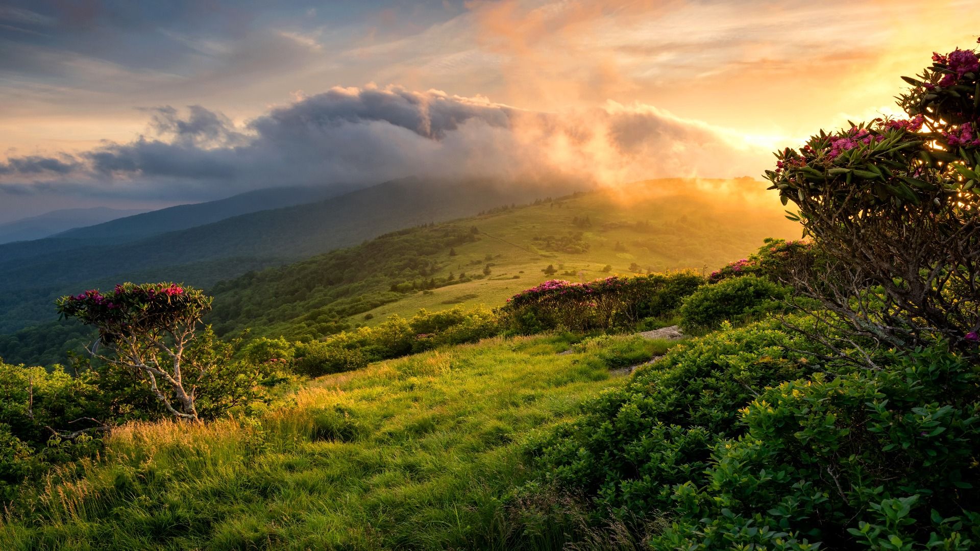 Sunset view of the Appalachian Mountains, Tennessee, just near the Appalachian Trail, Tennessee, USA