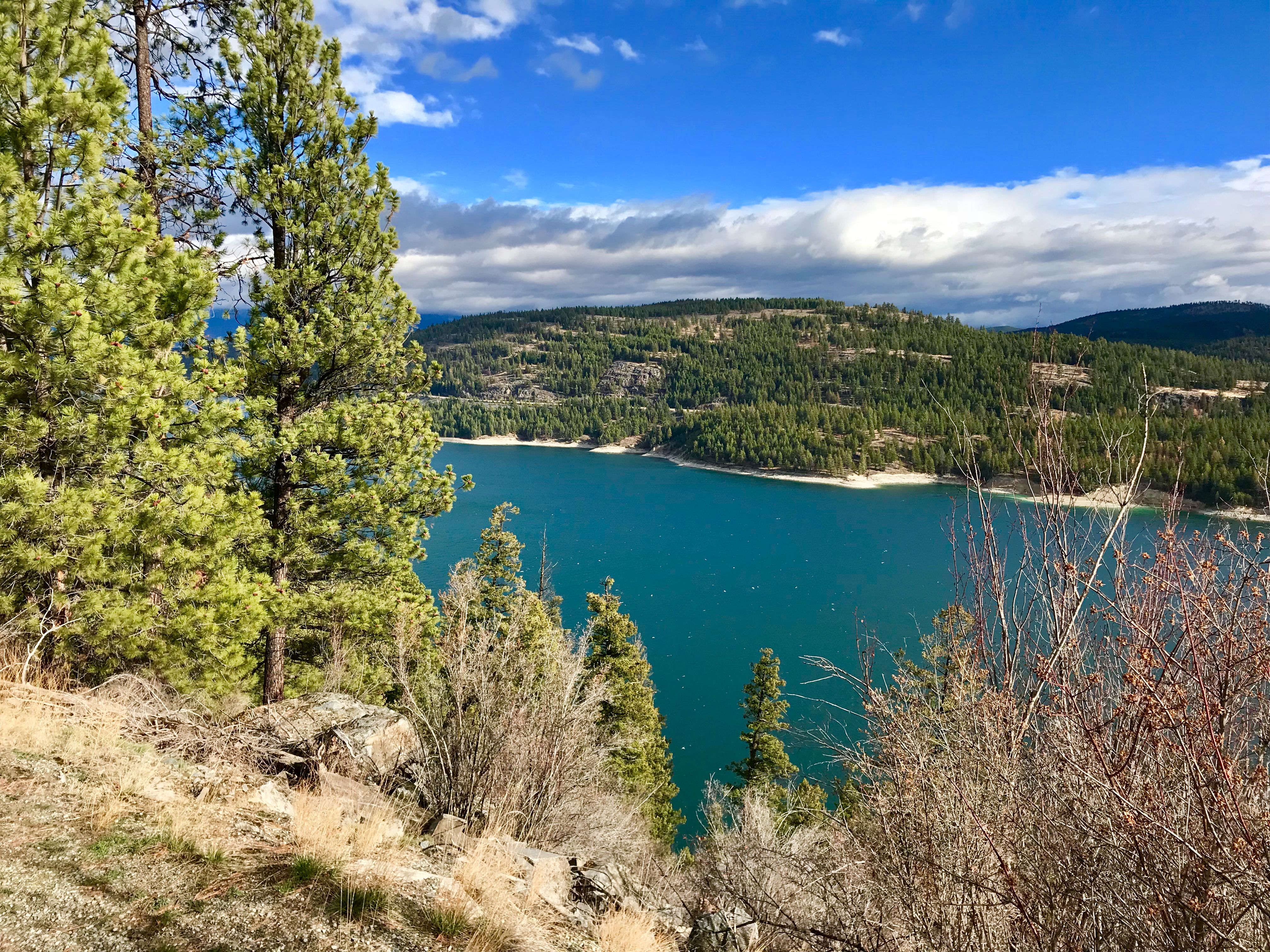 Northwest Montana River near Eureka, Montana