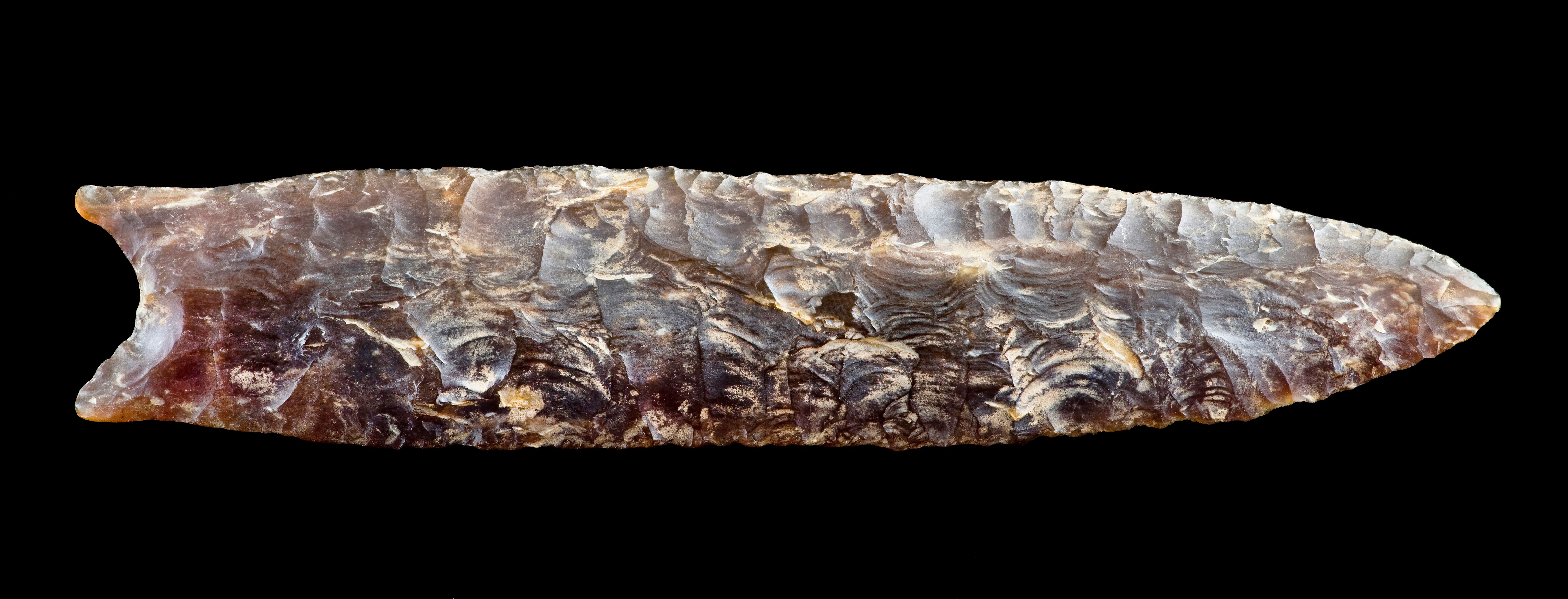 A closeup of a Clovis point made around 11,000 BC