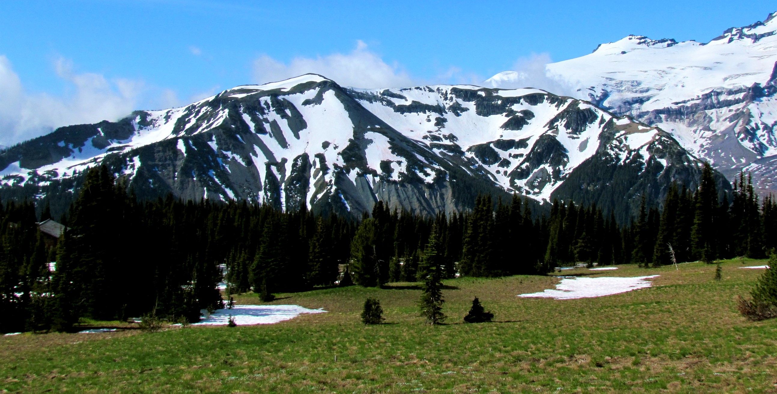Goat Island Mountain, Mount Rainier National Park, Washington
