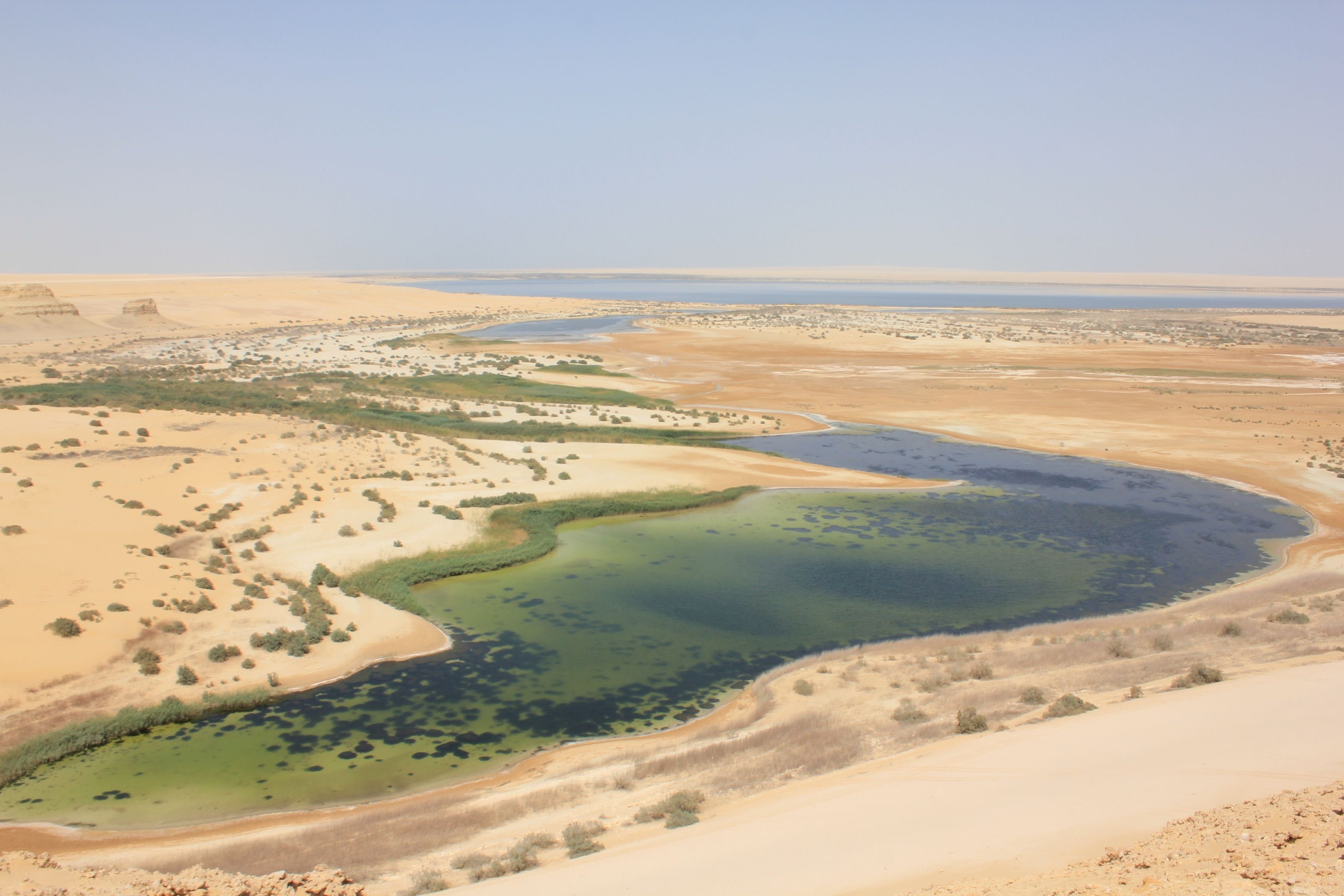 Lake bed formations in Sahara Desert After Heavy Rainfall