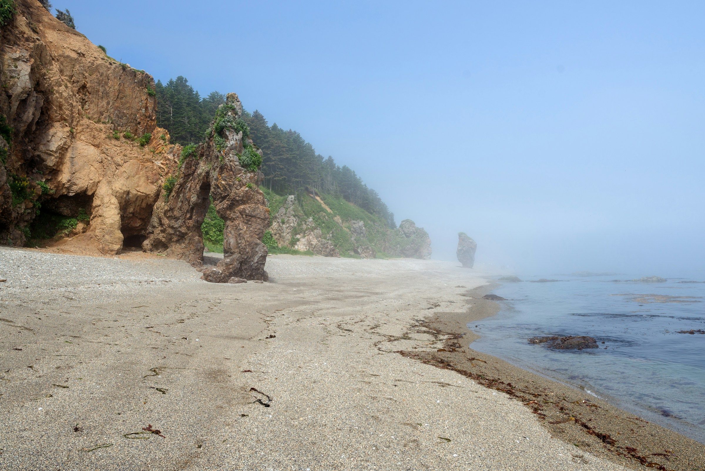 Мыс Птичий, Sakhalin Oblast, Russia