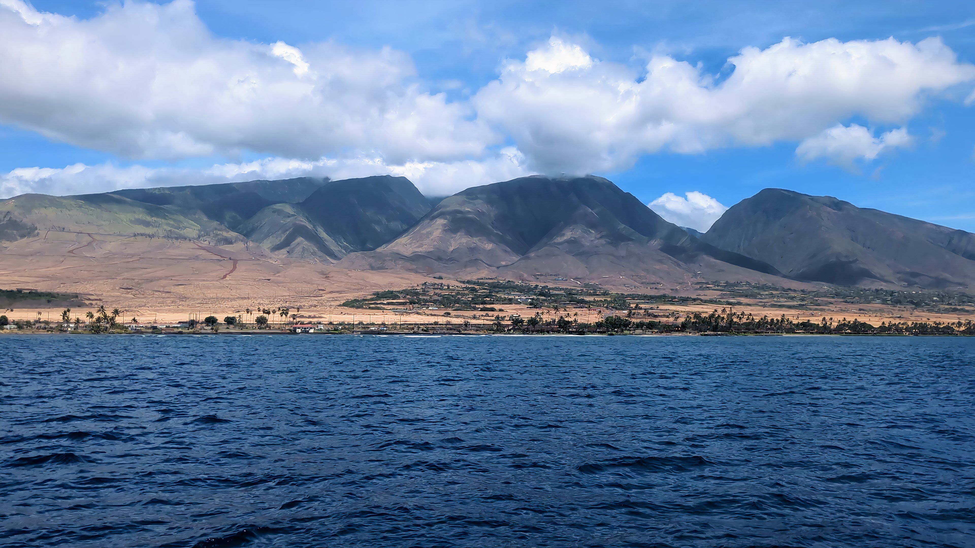 Dolphin Sailing with Teralani Sailing in Maui