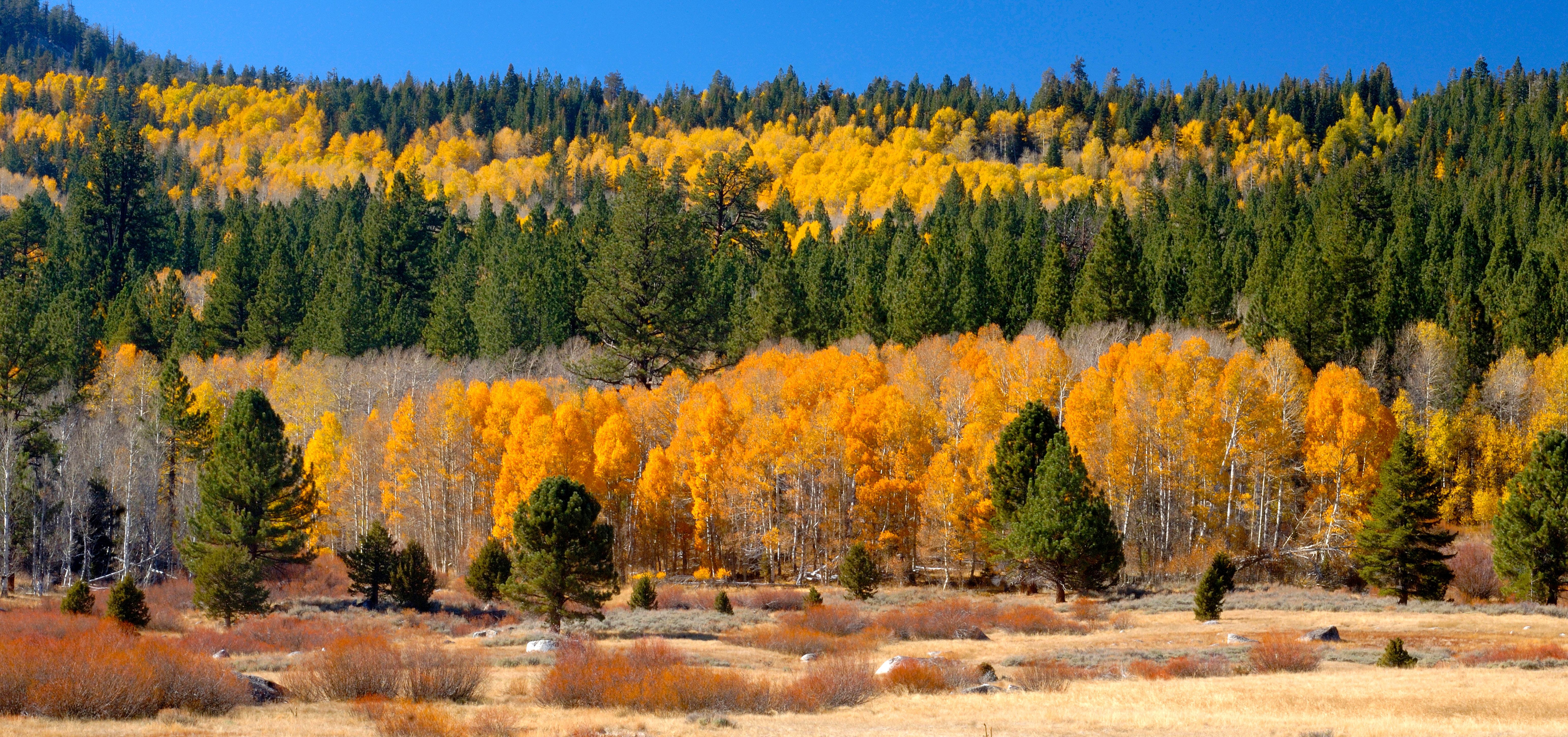 7 Off-The-Beaten-Path Places For Fall Foliage In California