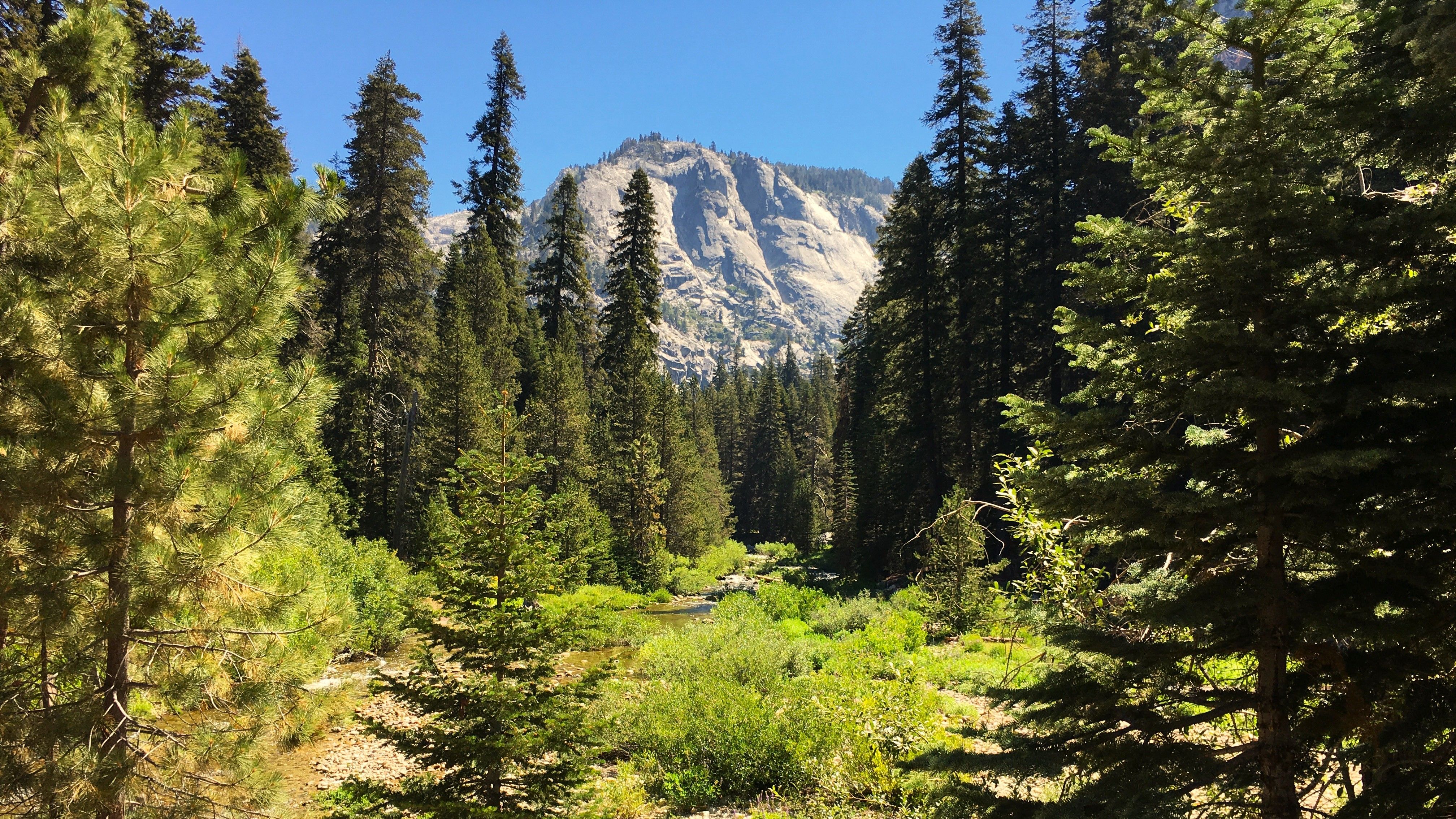 Tokopah Falls Waterfall Trail