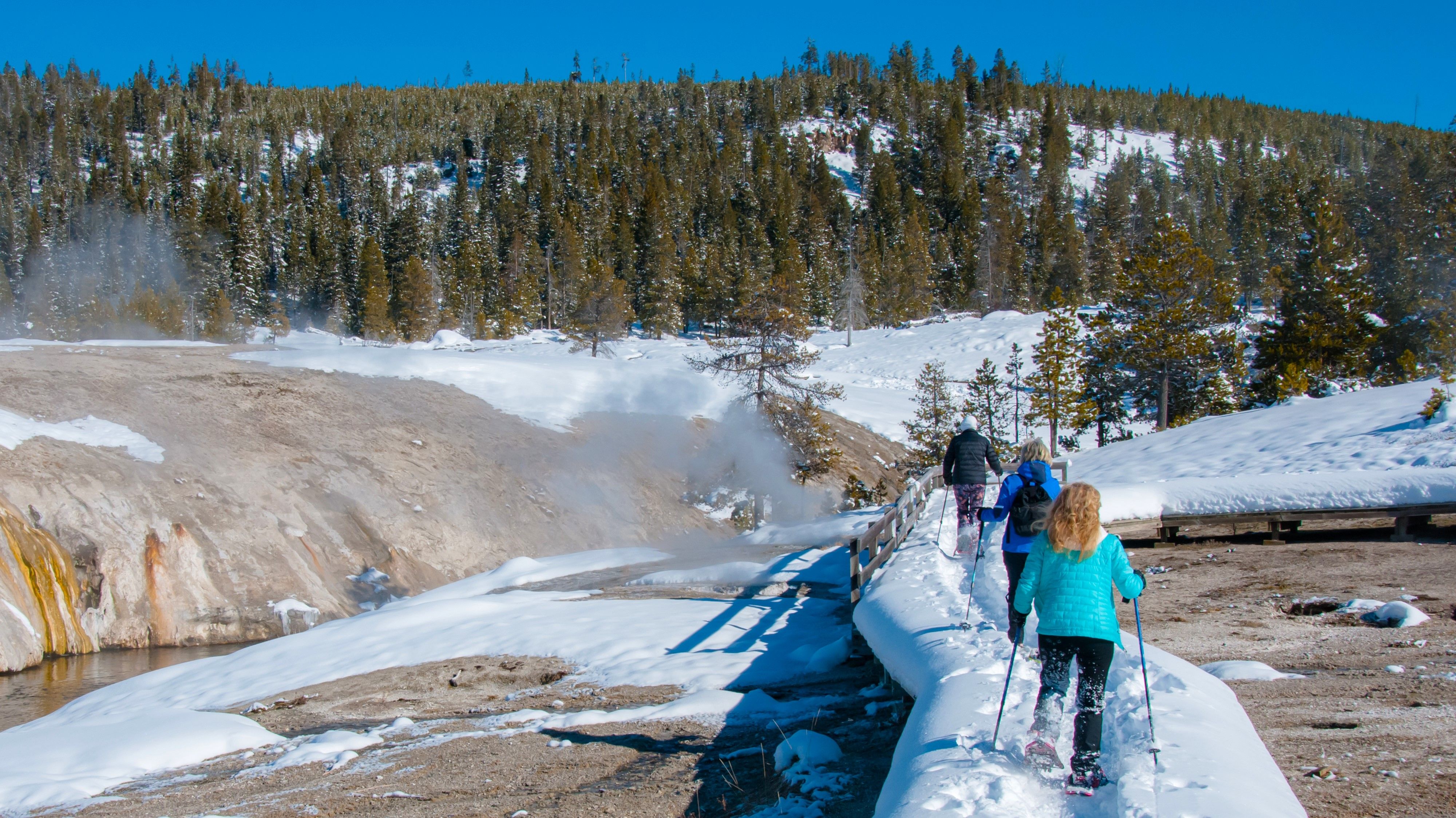 Yellowstone National Park