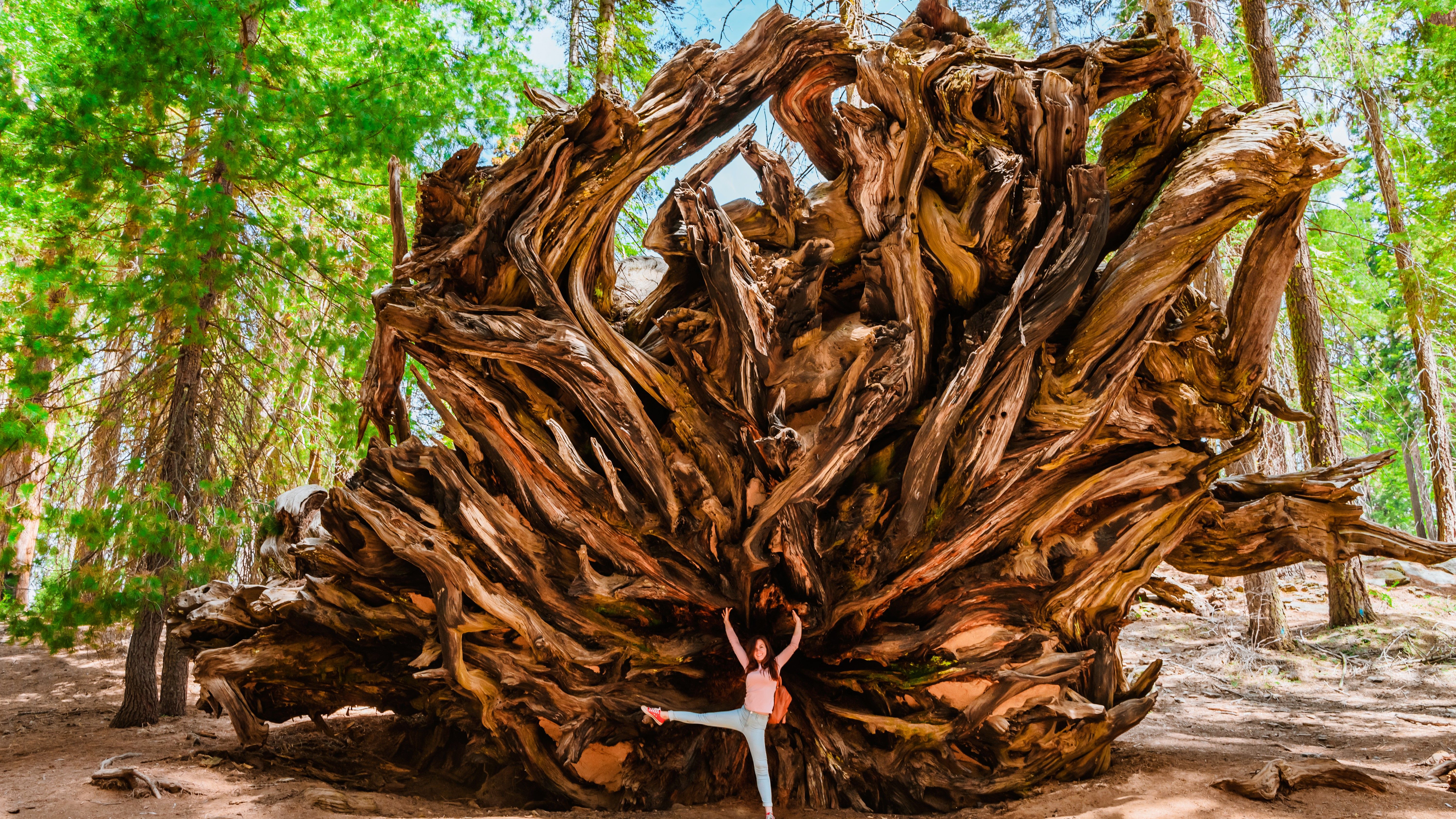 Sequoia National Park