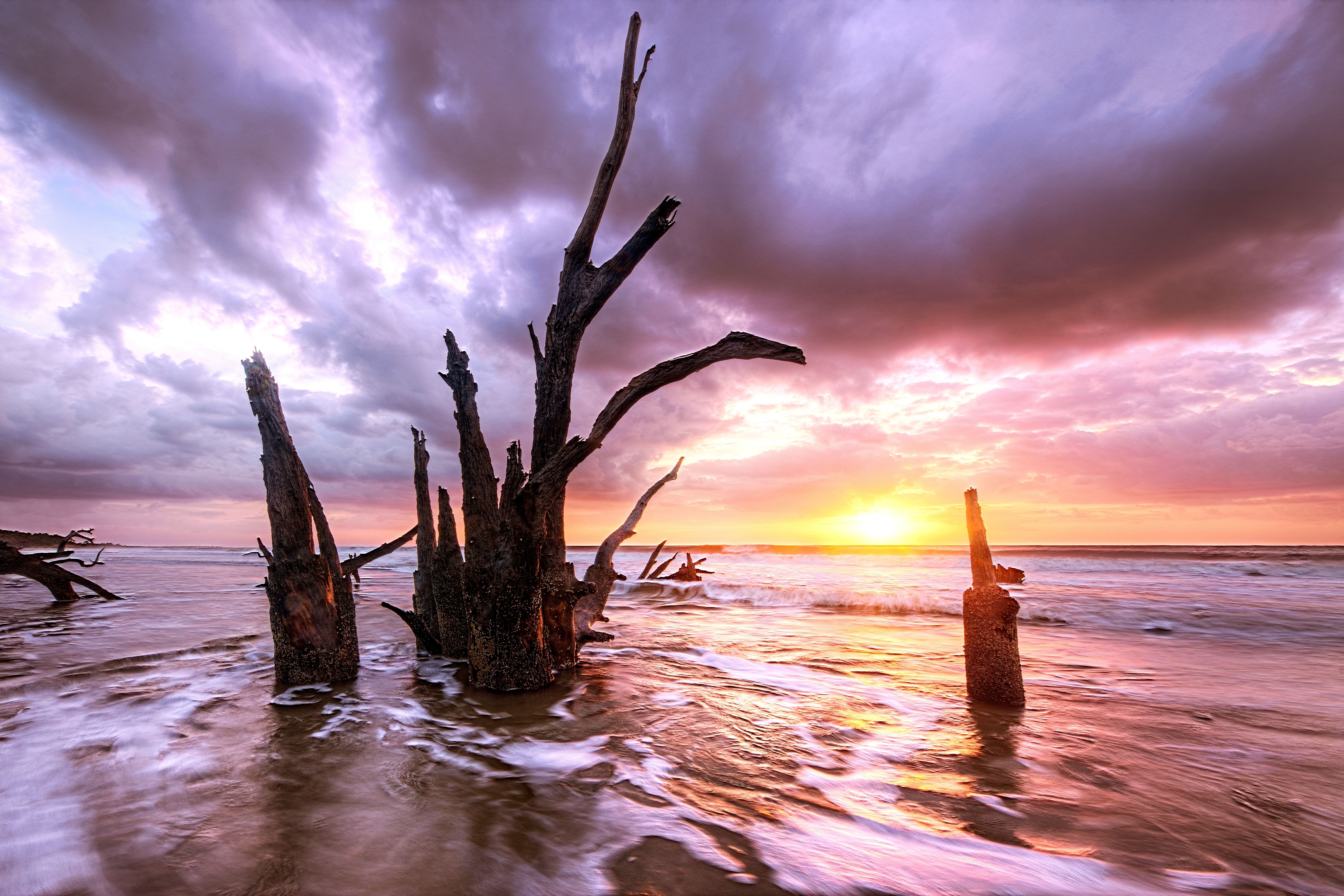 Sapelo Island, Georgia