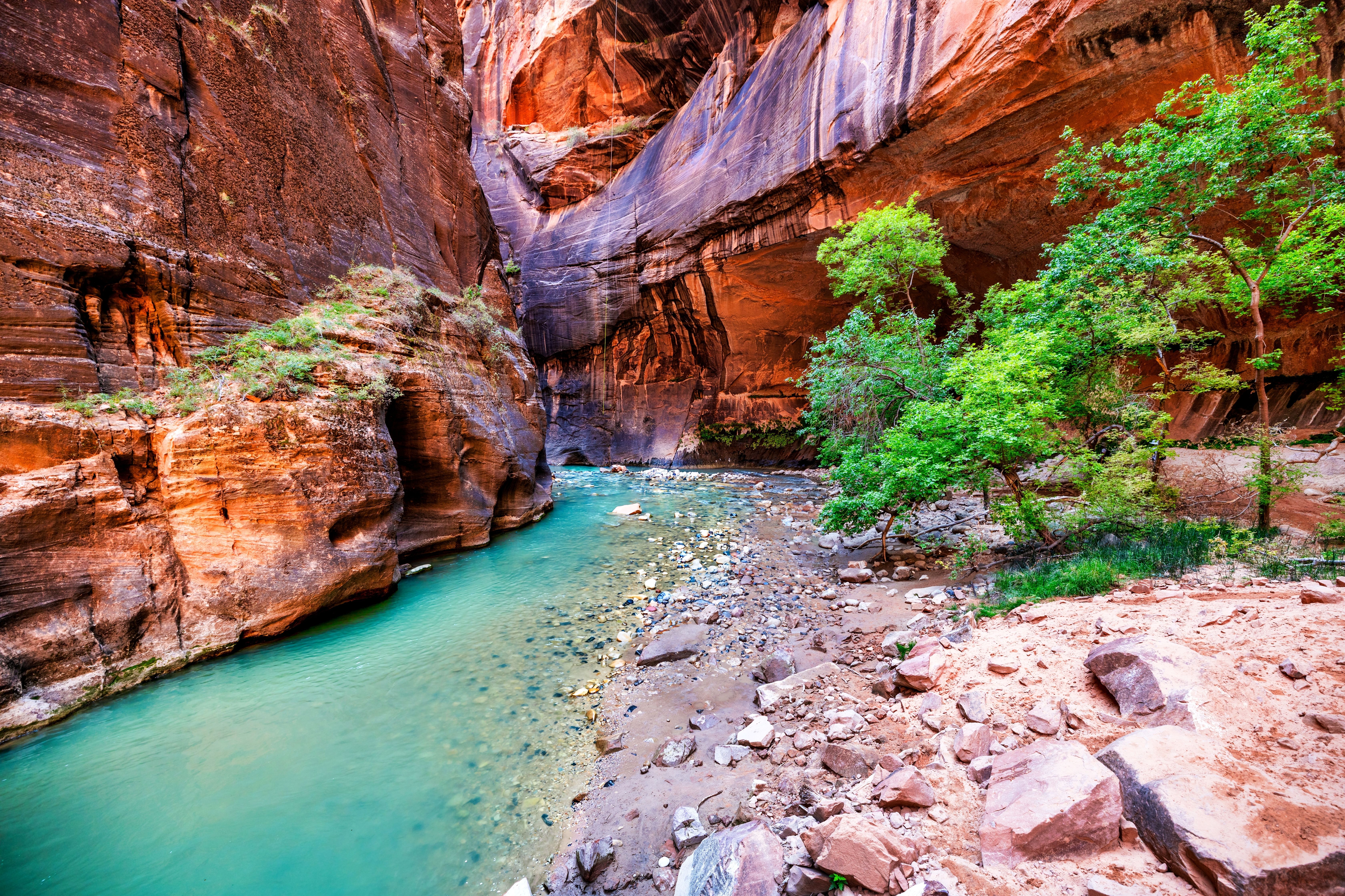 The Narrows, Zion National Park, Utah, USA