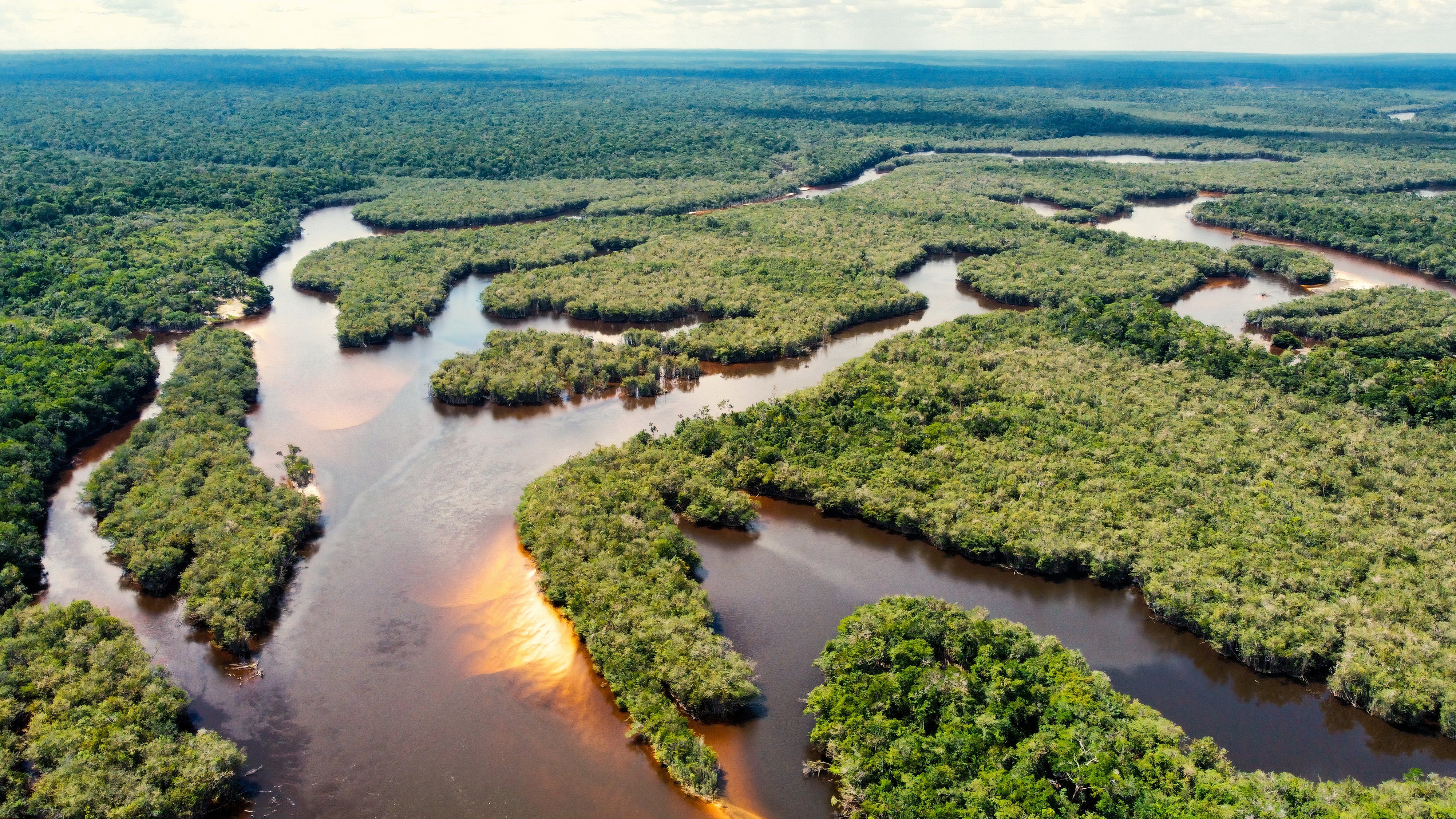 Thousands of stonehenges have been found in the amazon rainforest