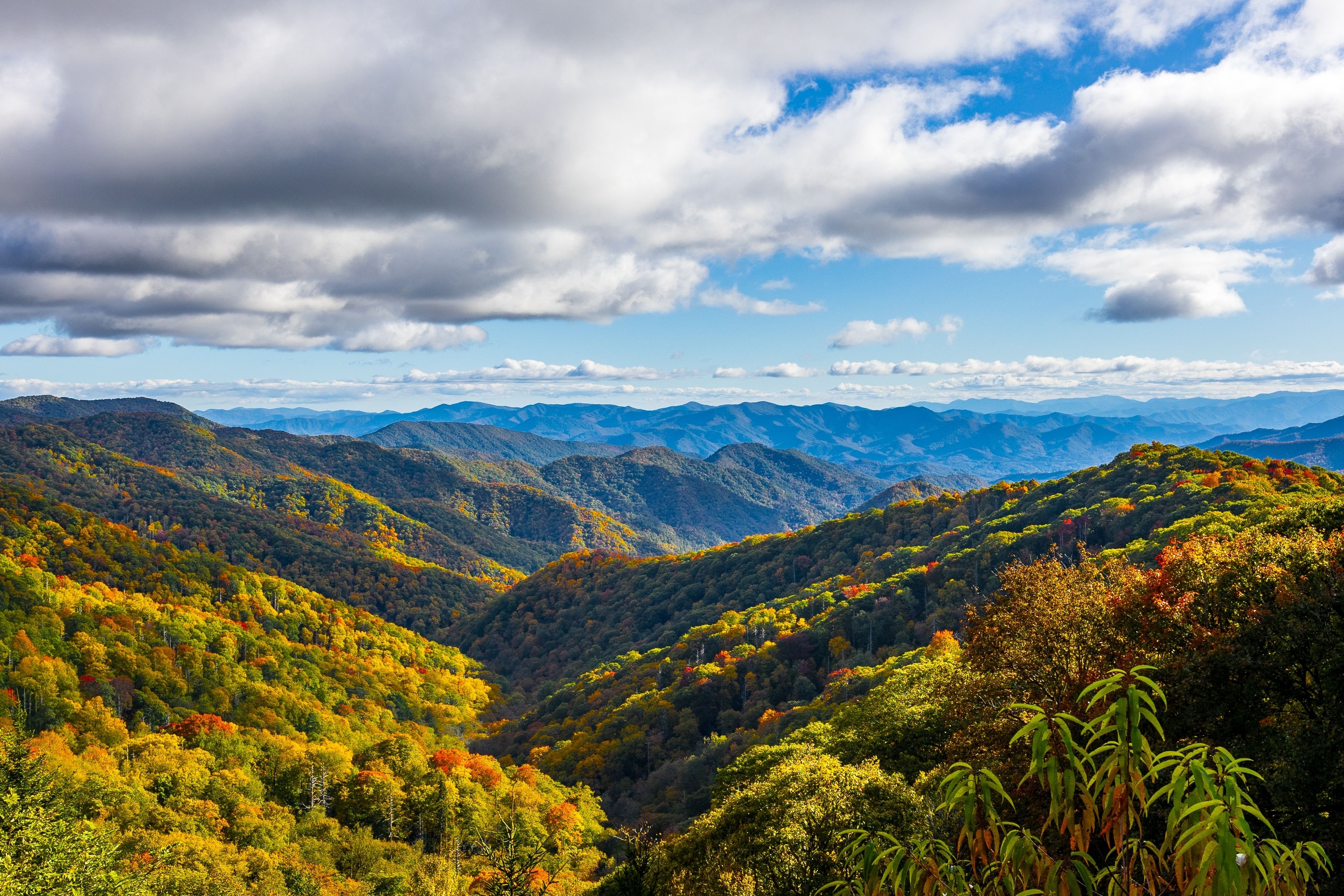 Surprise: This National Park Wins Again As America's Most Visited (And It's Not The Grand Canyon)