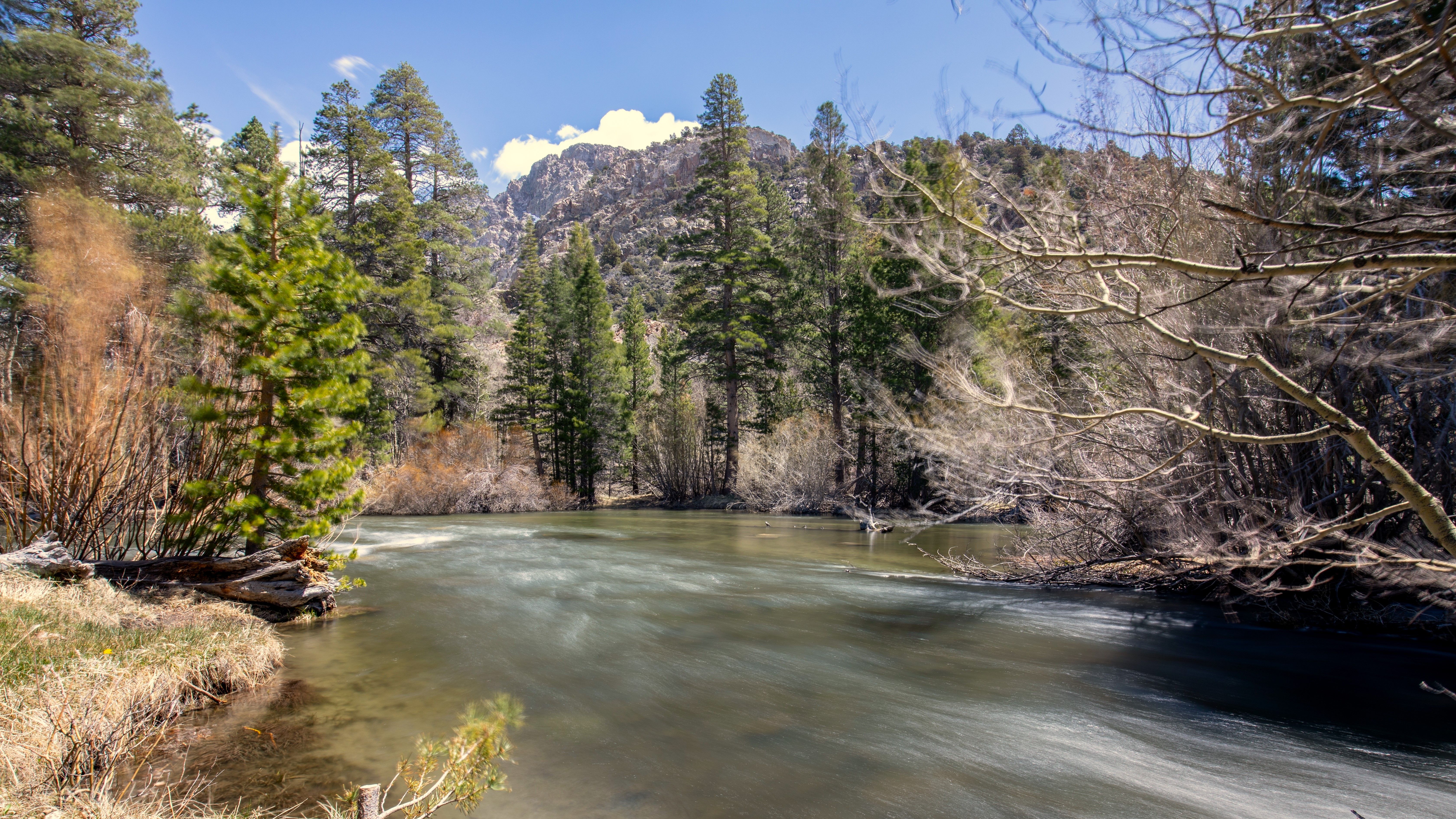 Idyllic Rush Creek in California Idyllwild