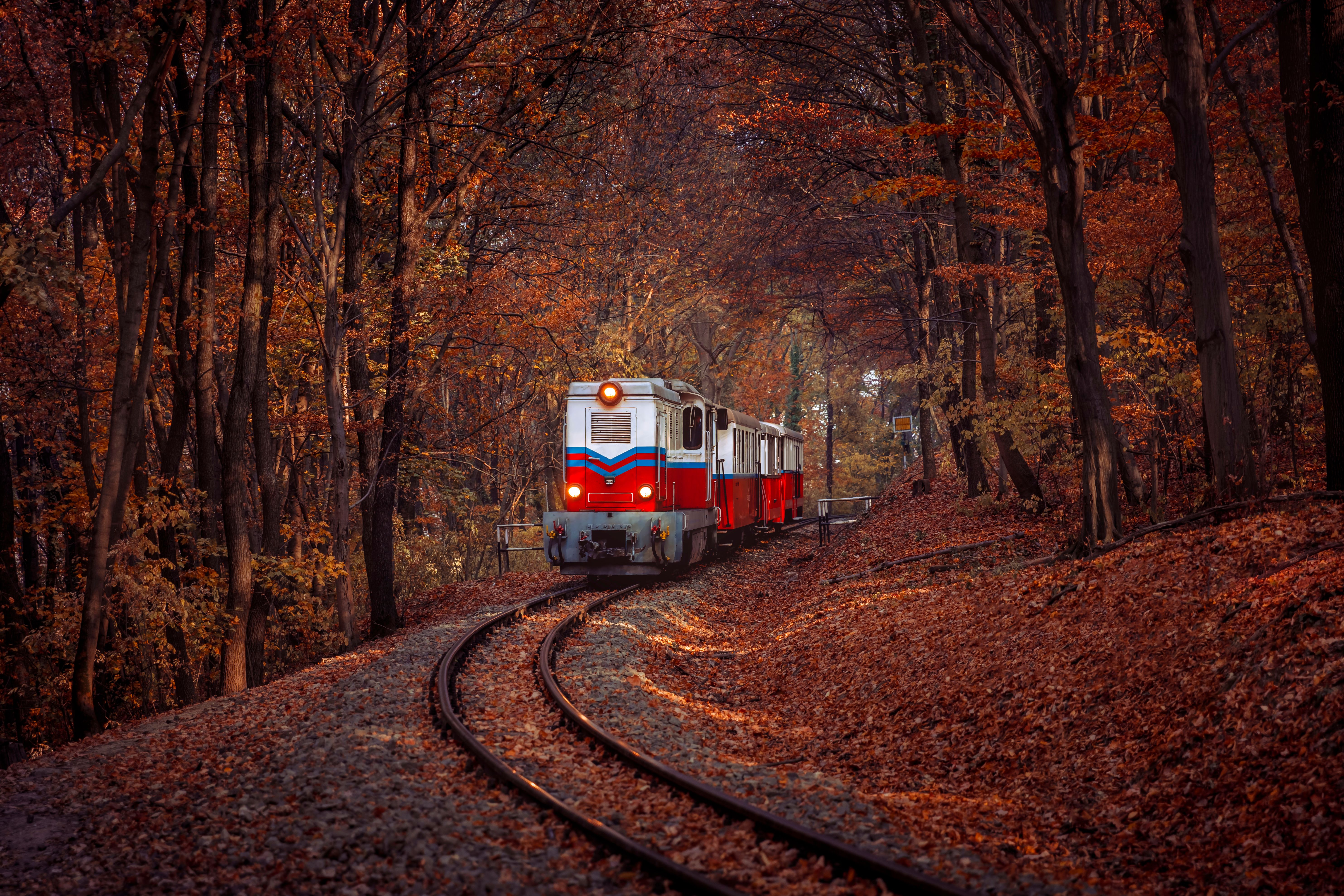 Train traveling through heavy wooded areas with leaves on tracks