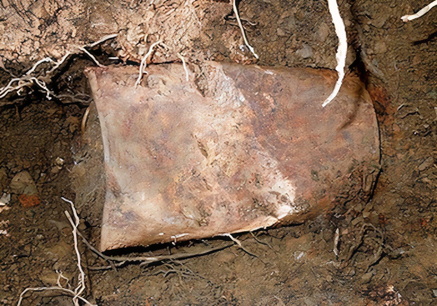 A can making up part of the Saddle Ridge Hoard