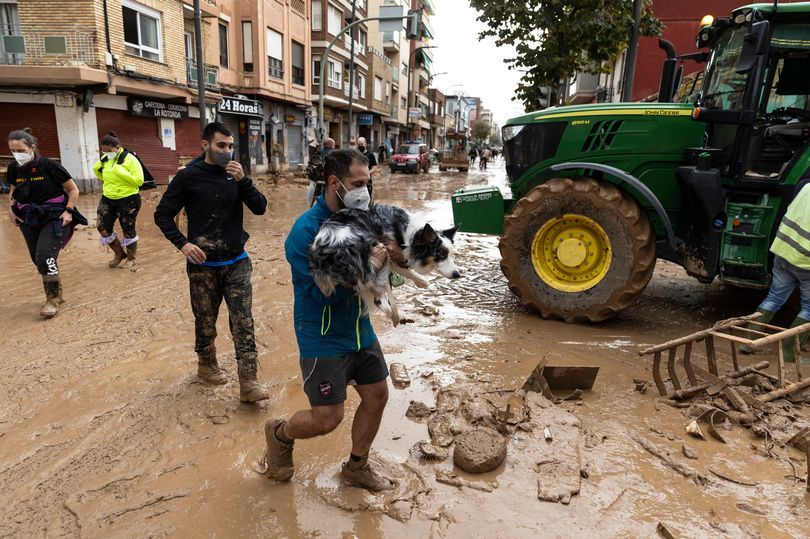 A man carries his dog in his arms as he crosses through contaminated mud in Valencia, Spain