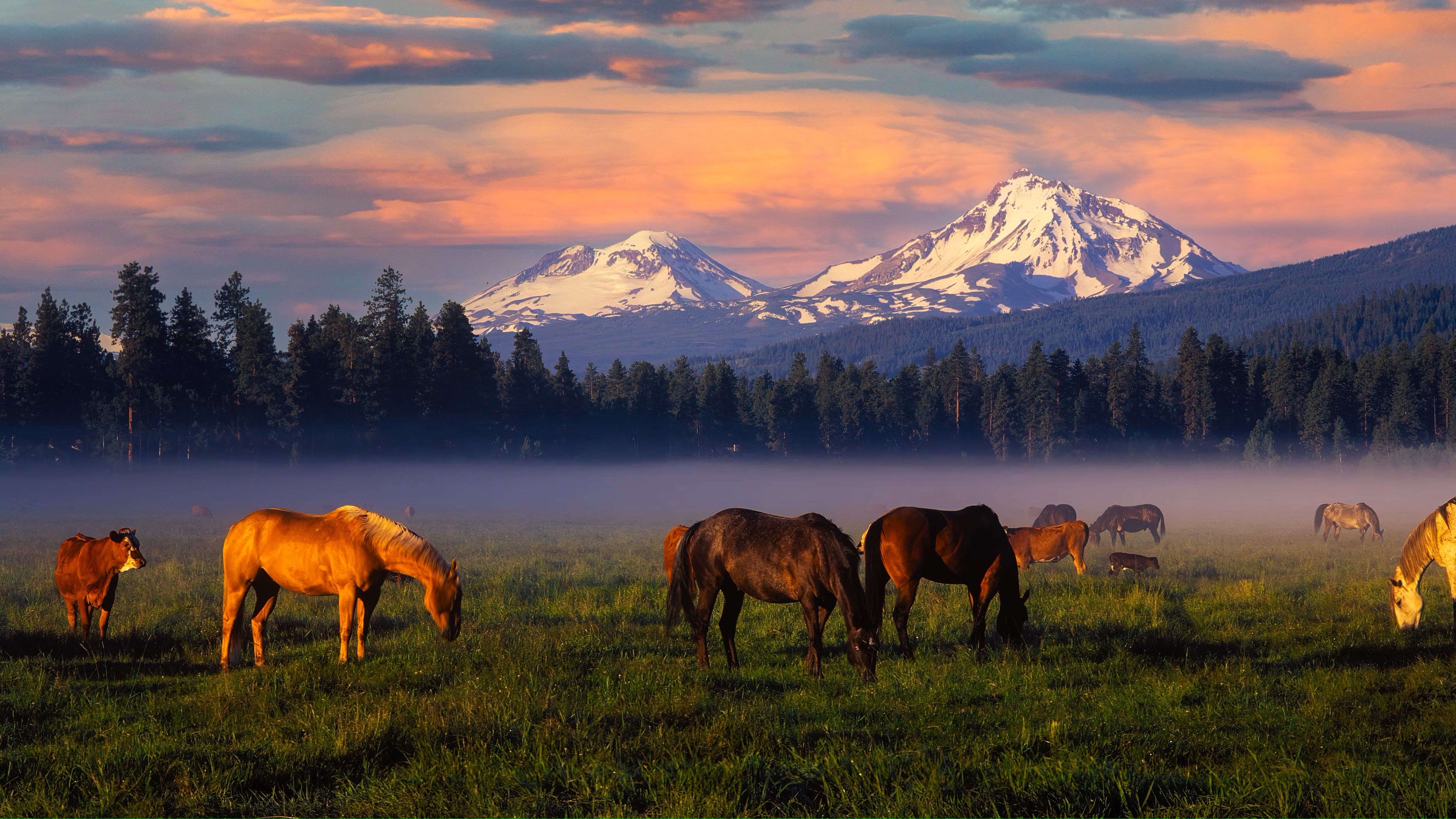 black-butte-ranch-meadow-with-the-three-