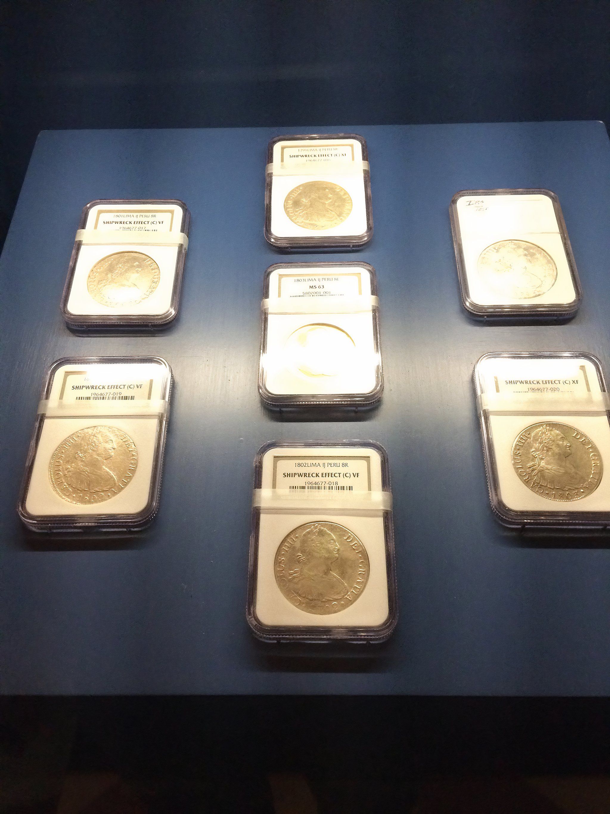 Coins collected in the Black Swan Project on Display