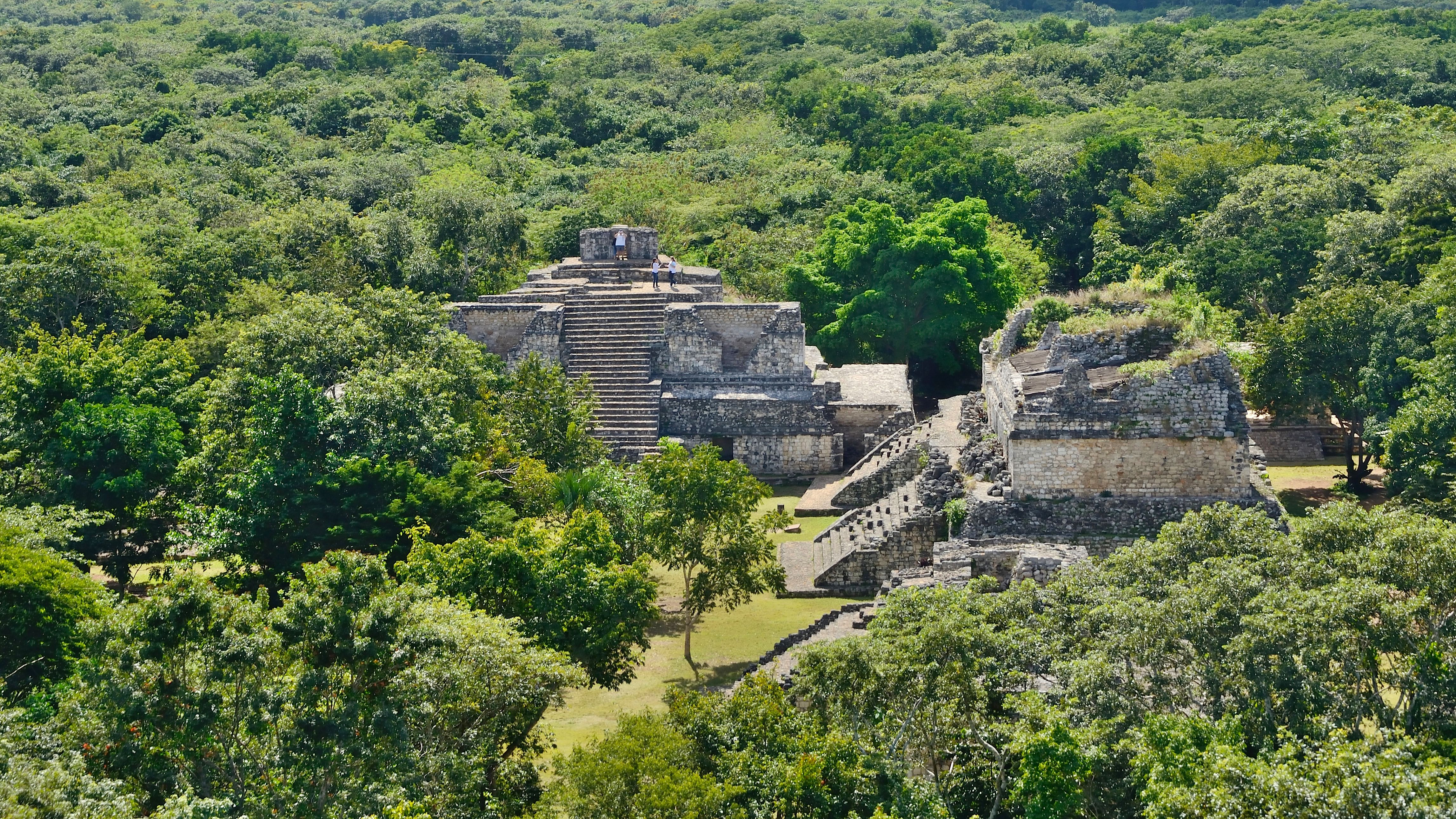 The Mexican Government'S Response To "No Mercy In Mexico Gore" – A Critical Analysis - 99vw6ez