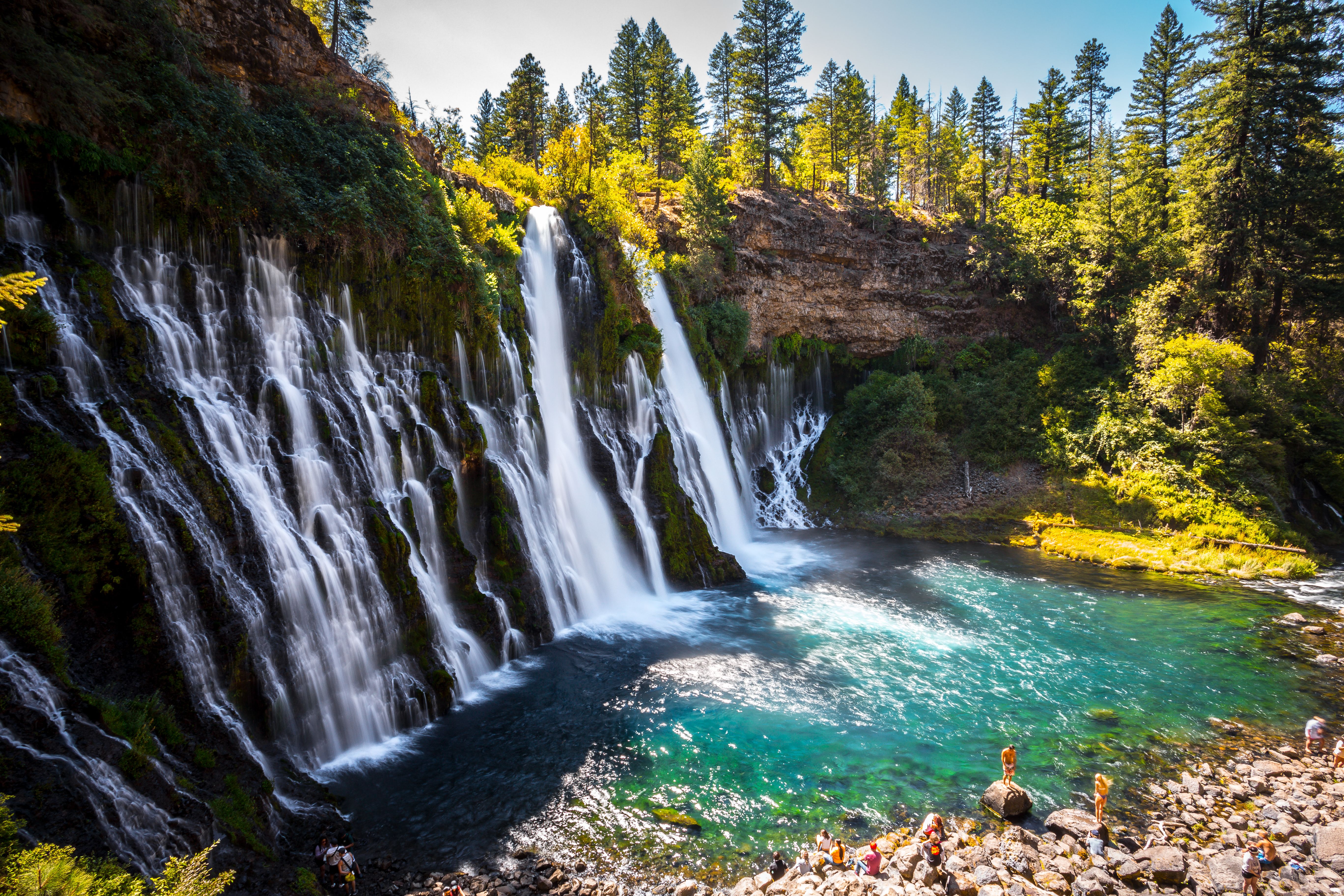 Shasta-Trinity National Forest