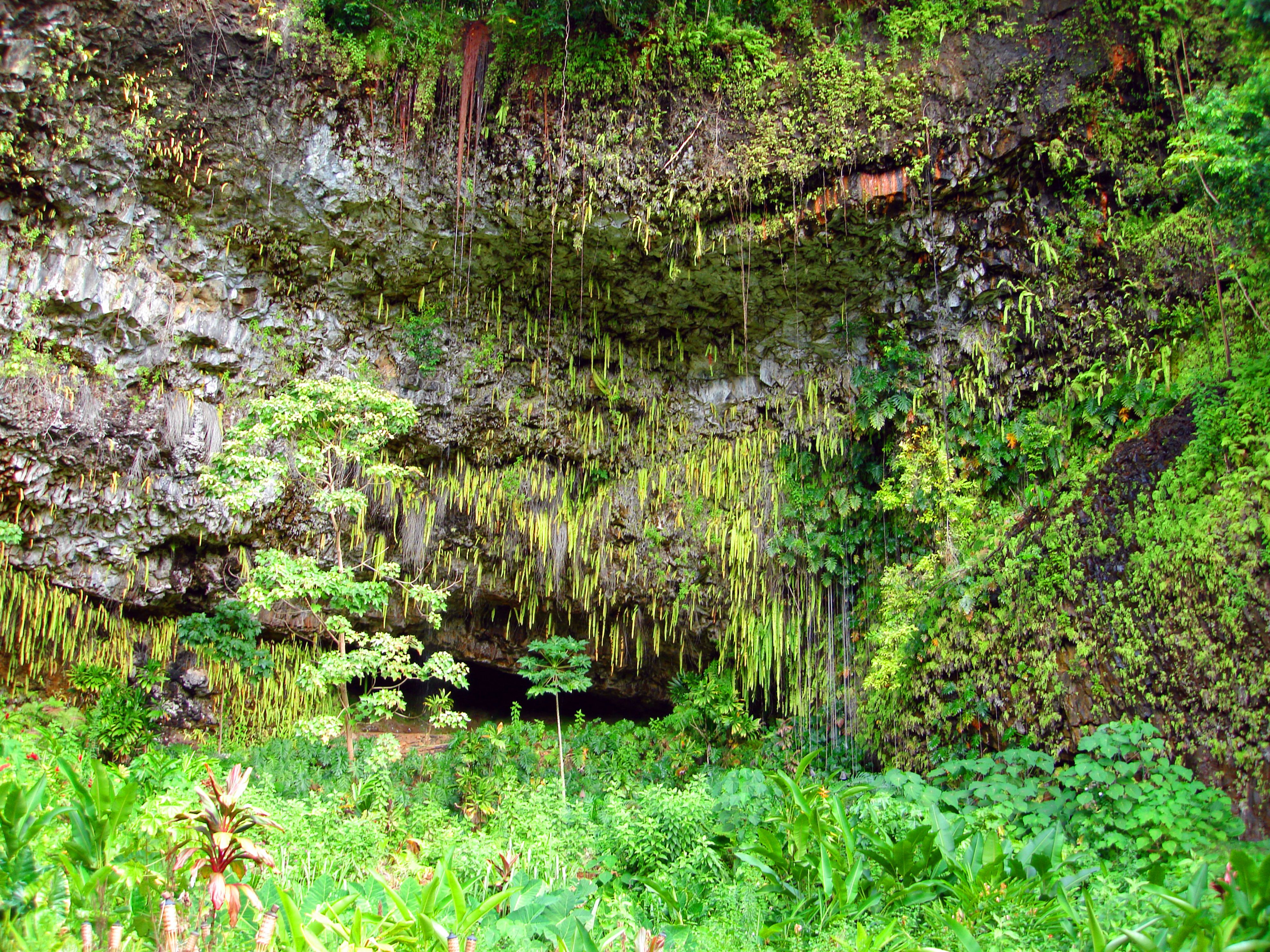 Fern Grotto, Wailua State Park, Kauai, Hawaii. Fern Grotto in the Wailua State Park, Kauai, Hawaii