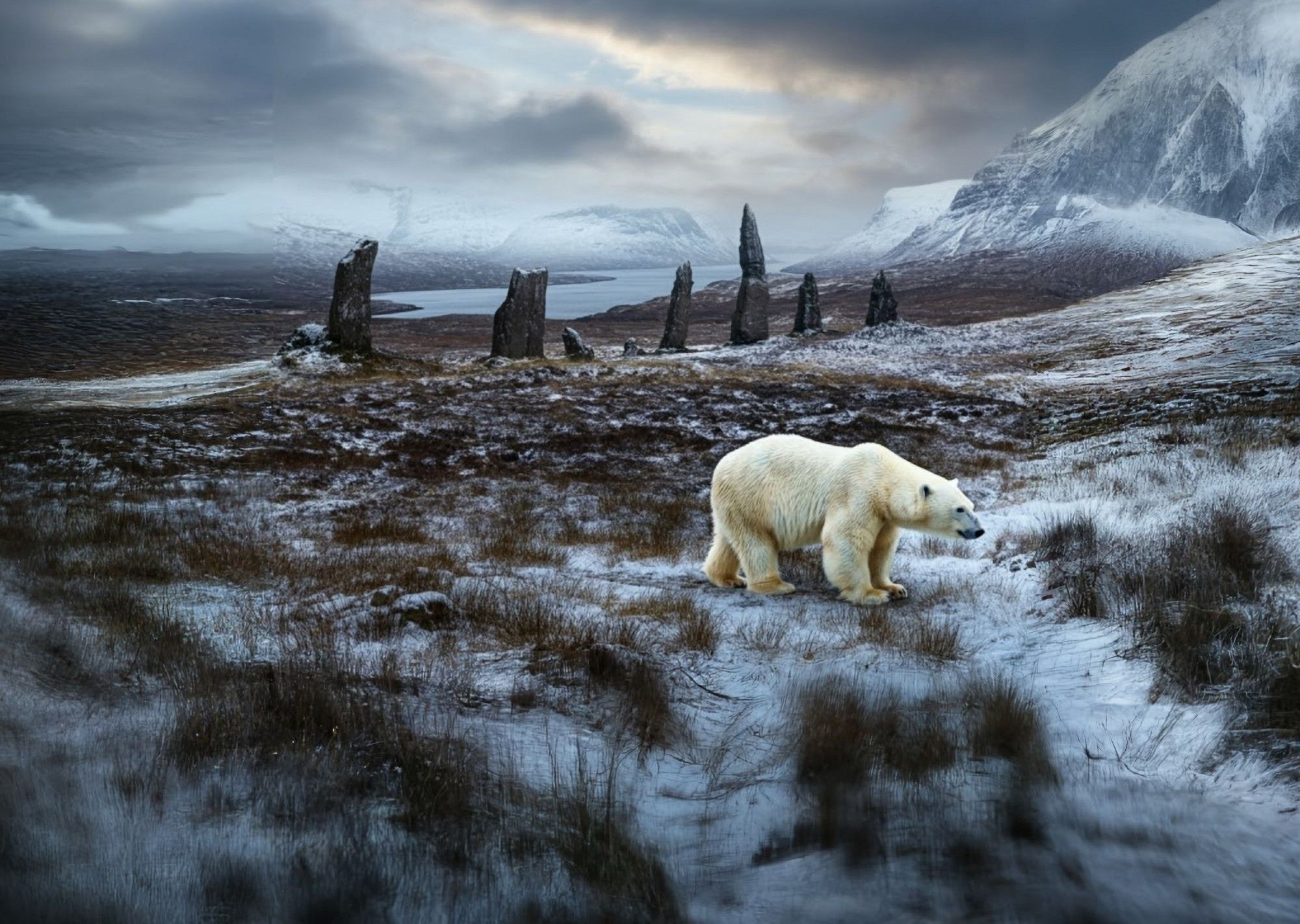 Polar bear in the Scottish Highlands during the ice age-1