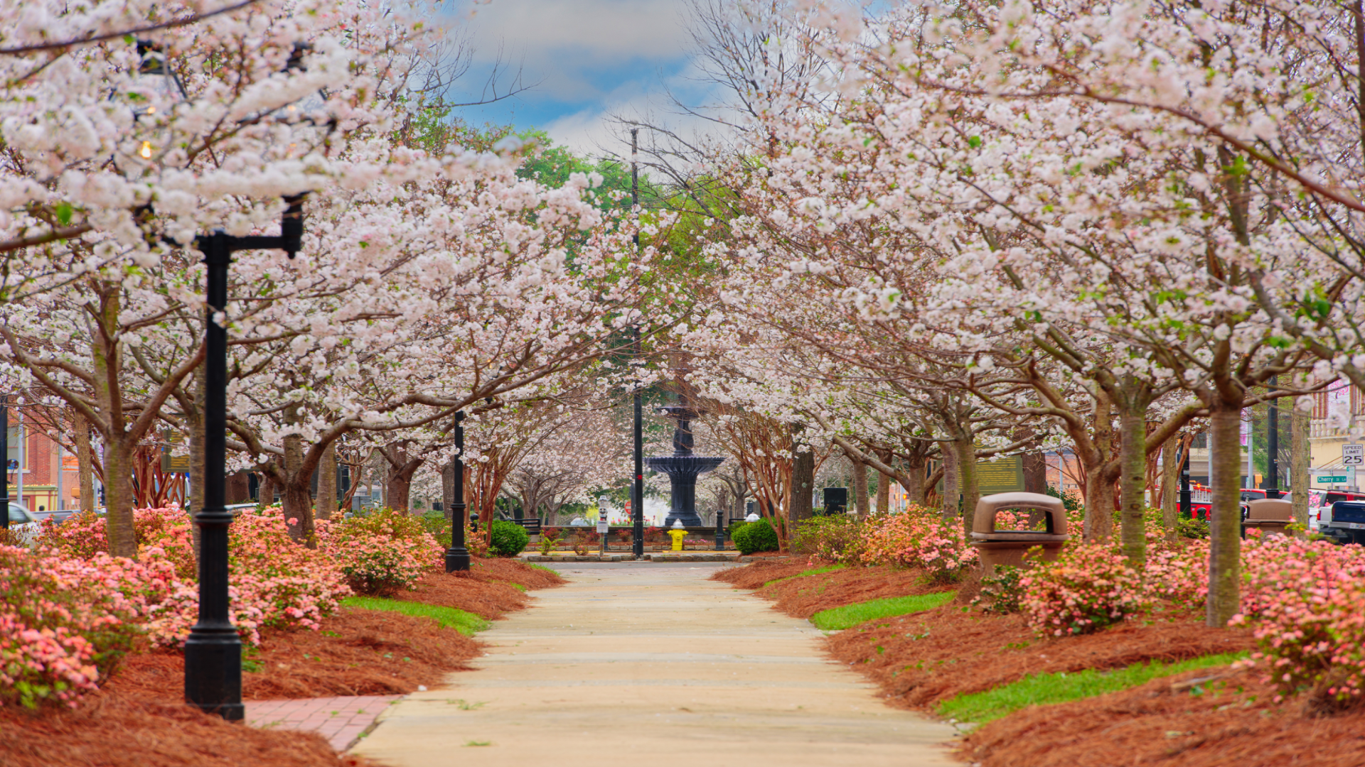 Macon, Georgia, USA in the spring