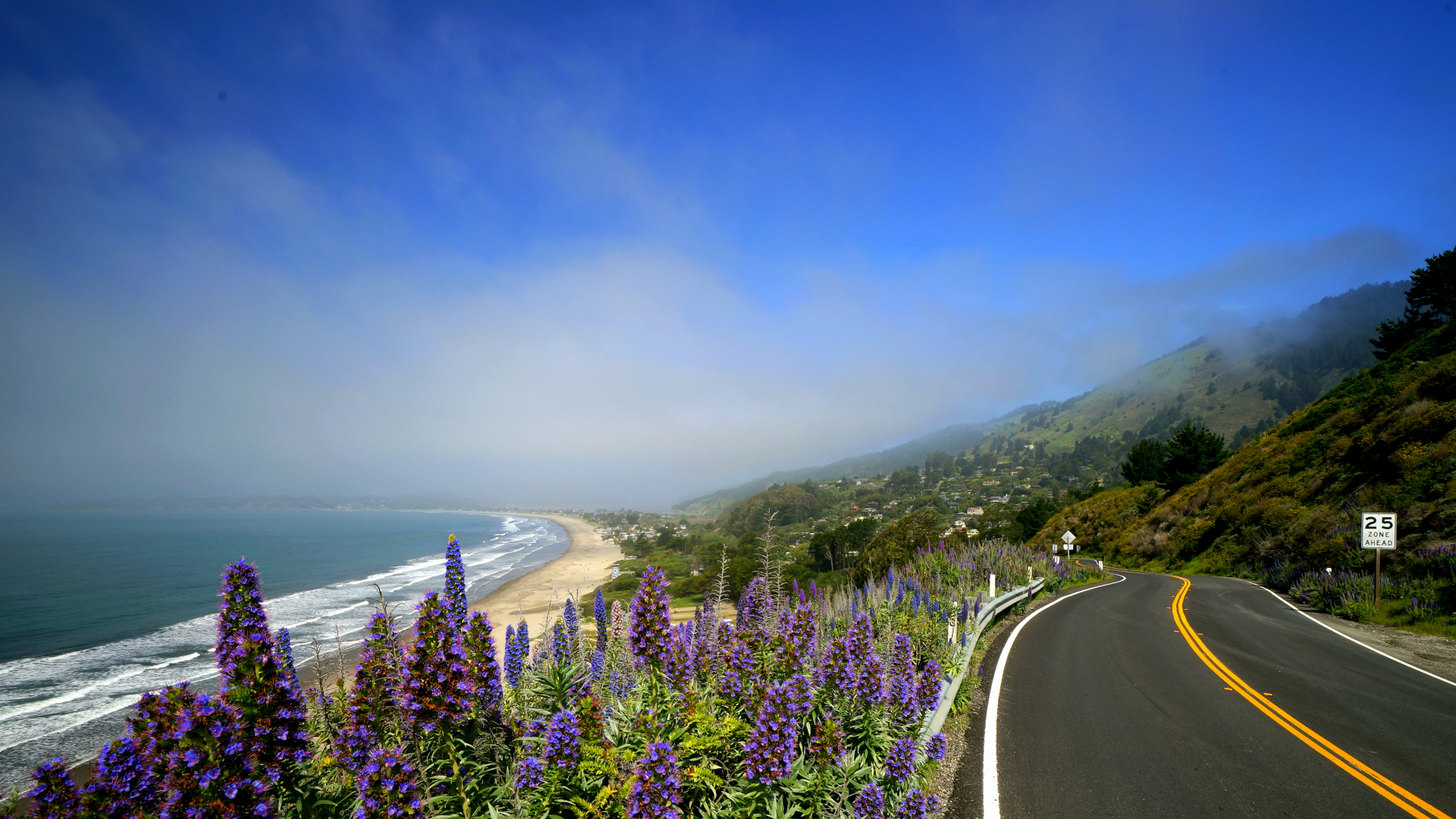 California Highway No. 1. Coastal highway