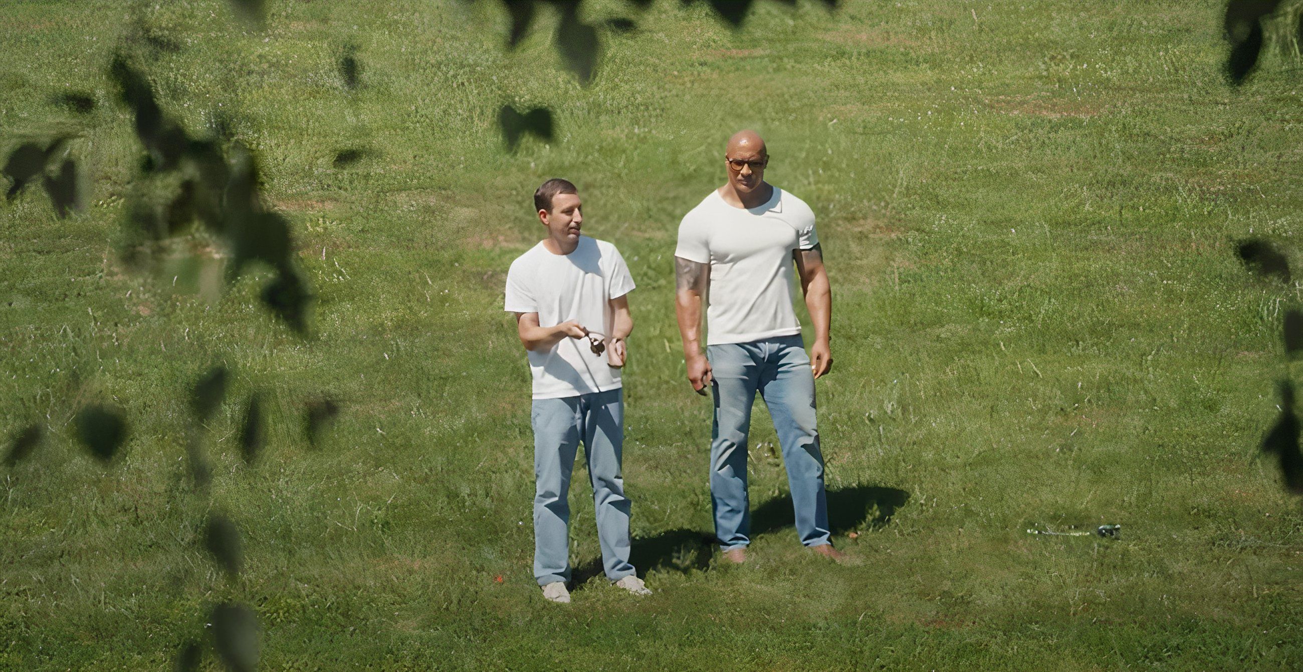 Dwayne Johnson Barn