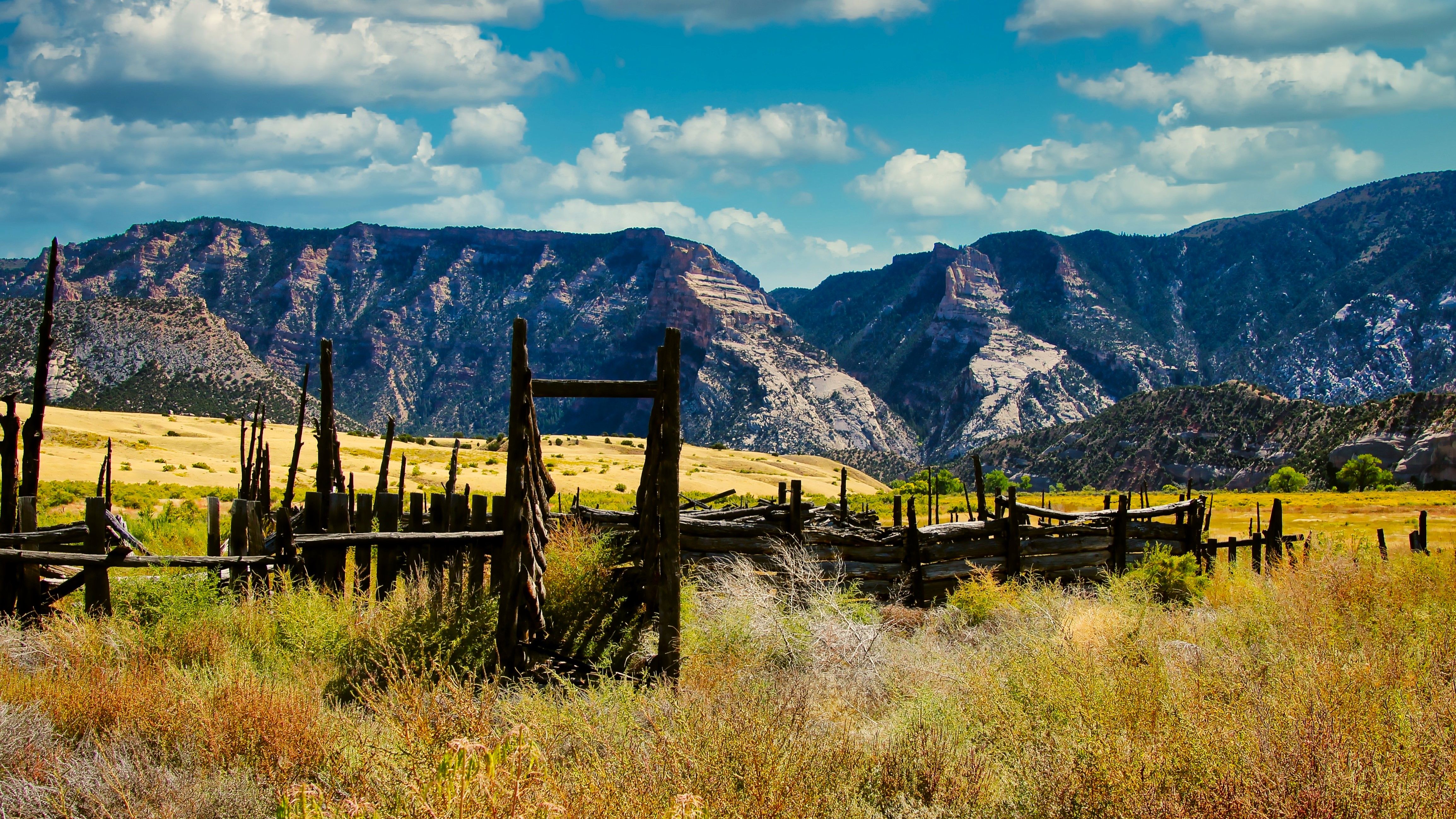 between-utah-and-colorado-is-the-home-of-the-most-significant-fossil