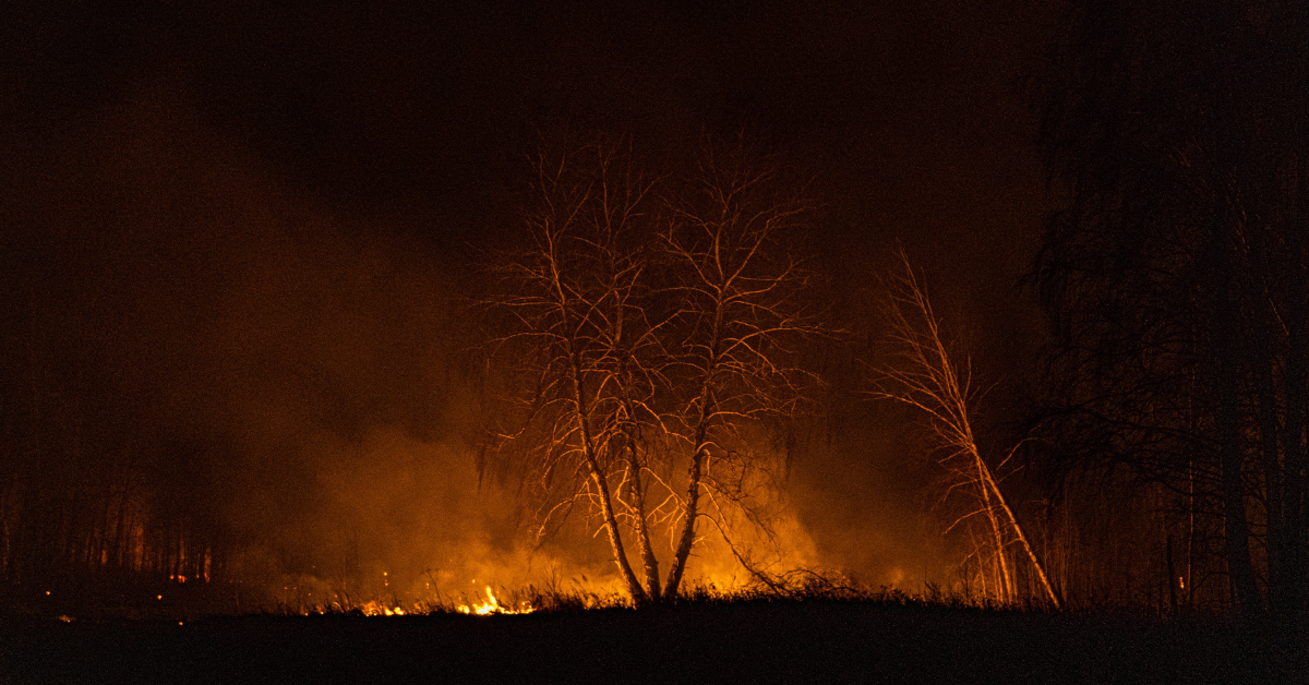 Siberia near Novosibirsk, Russia fire